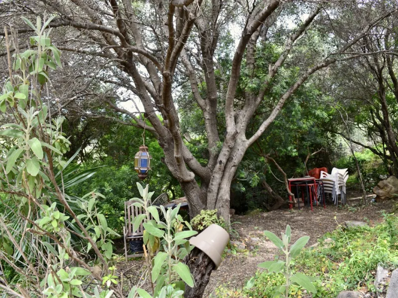 Discover an exceptional investment opportunity in a tranquil, consolidated residential area of Estepona. This prime plot of land, with a total area of 2,559 square meters and a buildable area of 615 square meters, is perfectly suited for a variety of deve