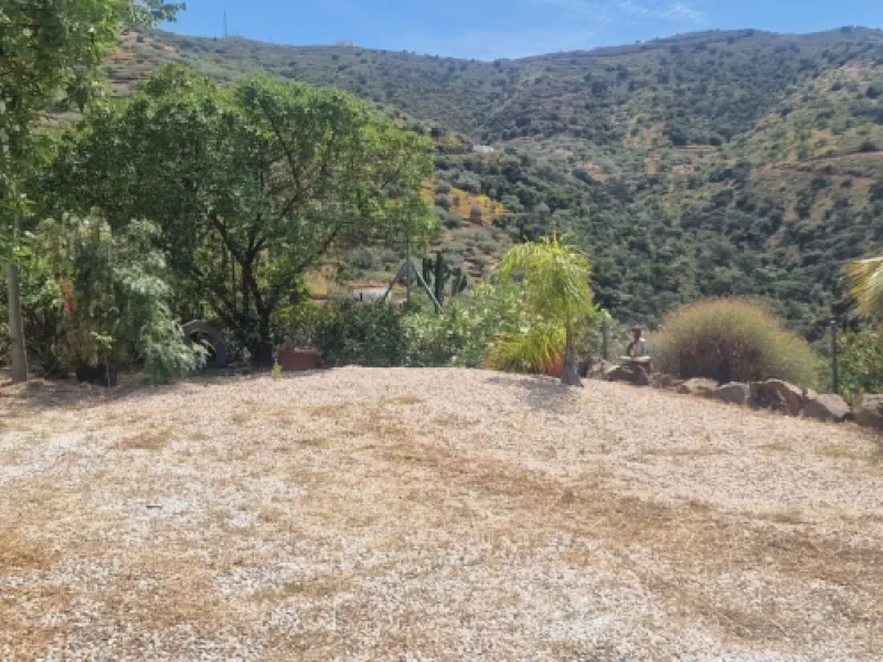 Exclusive listing:
