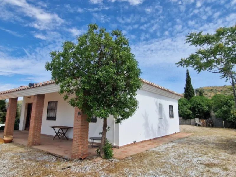 Exclusive listing: