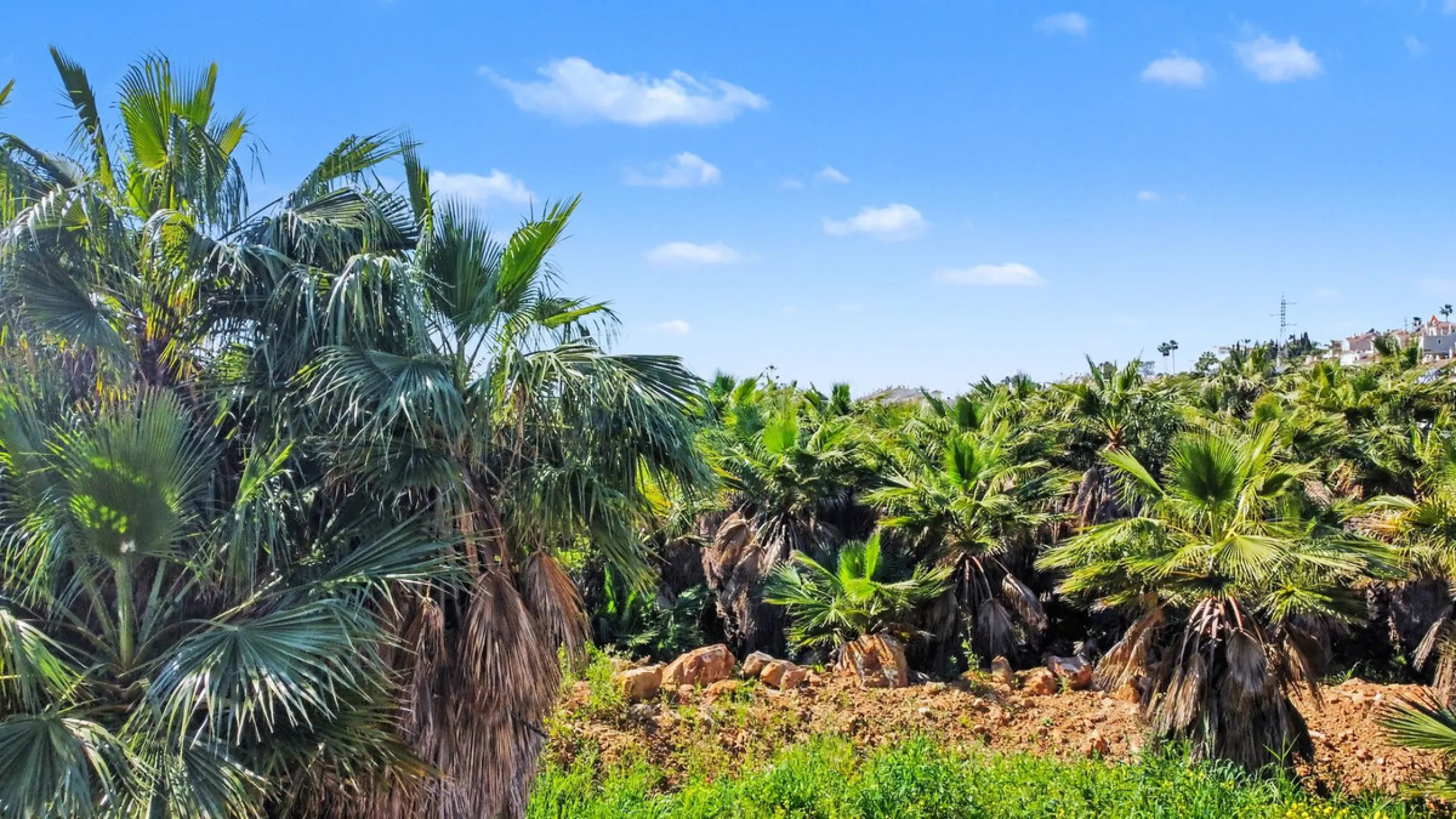 Golf-Front Plot at El Campanario, Estepona