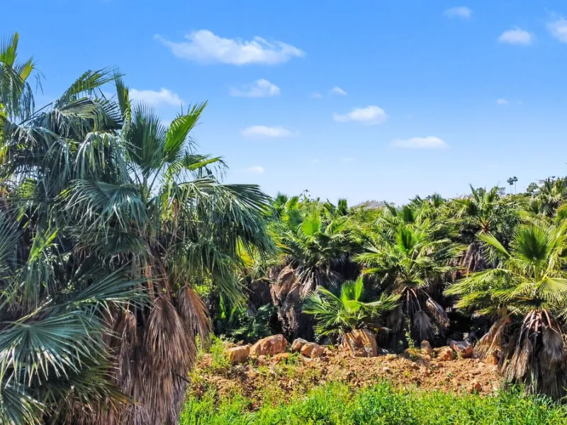 Golf-Front Plot at El Campanario, Estepona