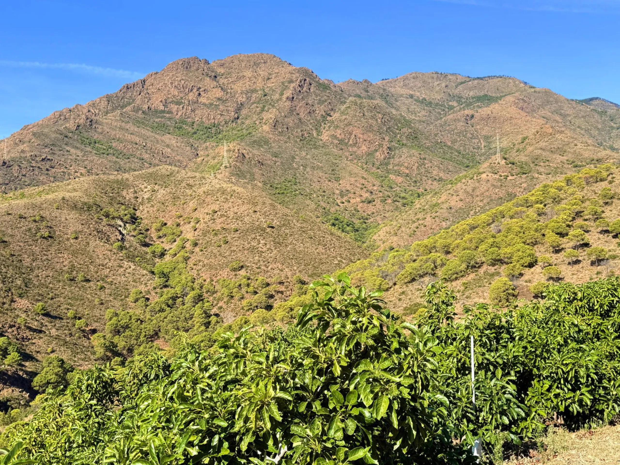 House with Sea Views in Estepona. Set on a 4,409 m² plot just 2.5 km from the center of Estepona, this property offers tranquility without sacrificing proximity to all amenities. The home itself features approximately 150 m² of living space with 4 bedroom