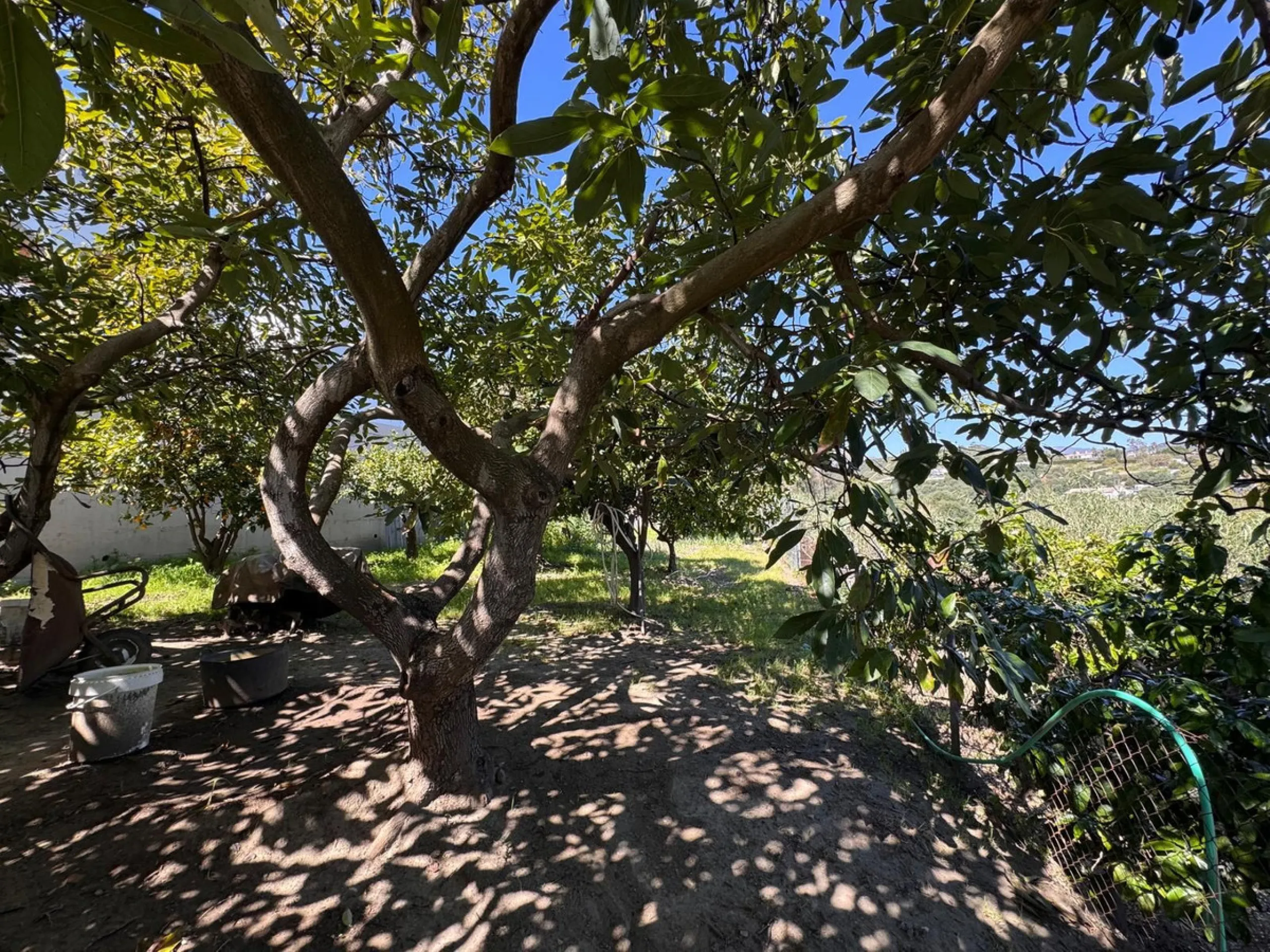House - Detached Villa в продаже в Estepona, Málaga. В доме 4 спален и 2 ванных комнат. Площадь дома 243 м². Площадь участка 1940 м²