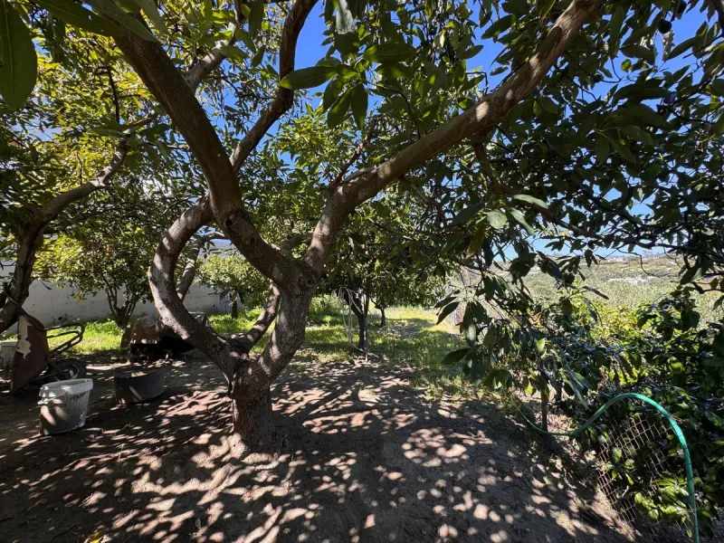 House - Detached Villa в продаже в Estepona, Málaga. В доме 4 спален и 2 ванных комнат. Площадь дома 243 м². Площадь участка 1940 м²