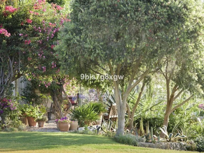 Elegant Country Estate in the Heart of Andalusia, Gaucín