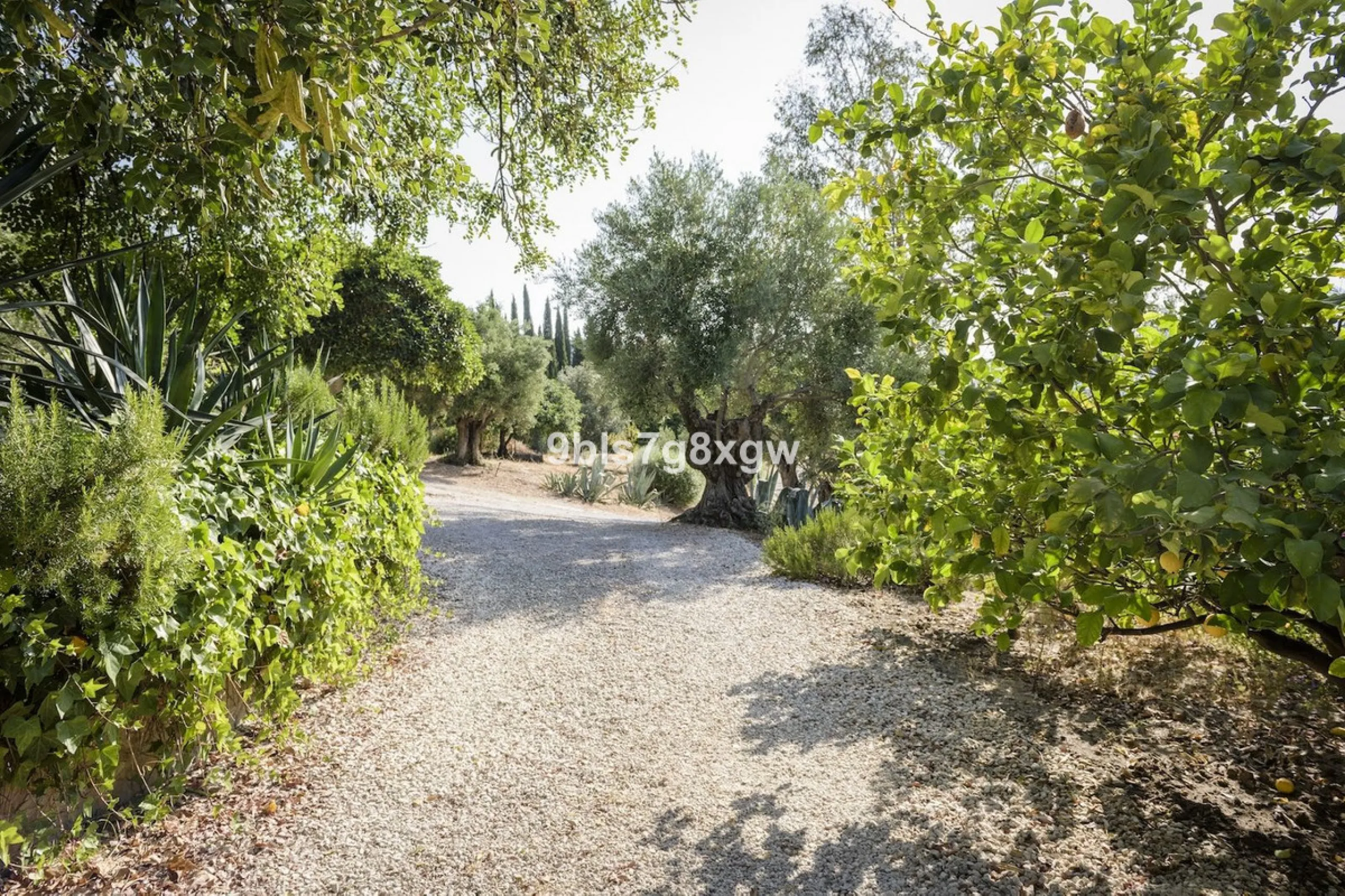 Elegant Country Estate in the Heart of Andalusia, Gaucín
