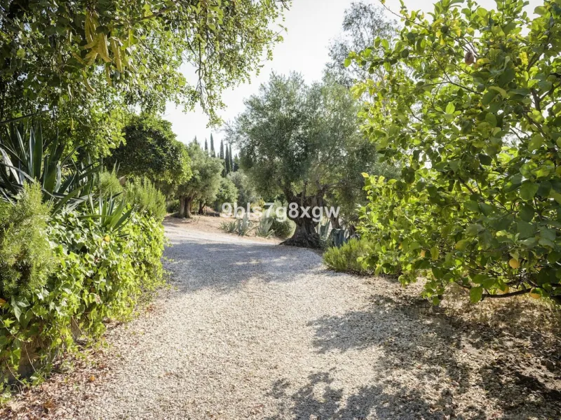 Elegant Country Estate in the Heart of Andalusia, Gaucín