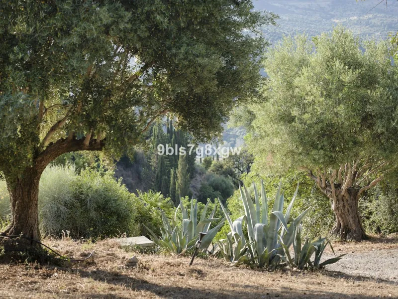 Elegant Country Estate in the Heart of Andalusia, Gaucín