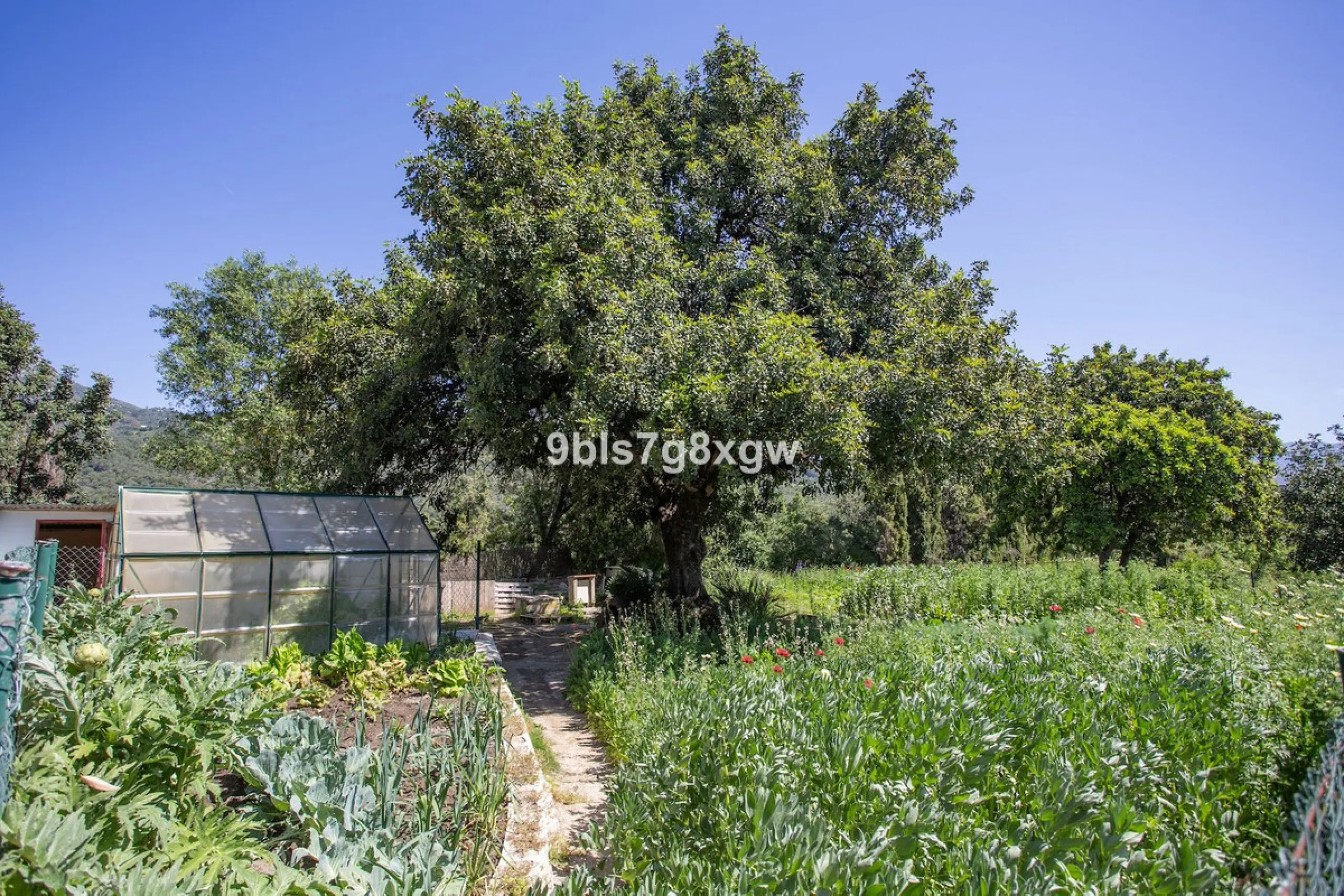 Elegant Country Estate in the Heart of Andalusia, Gaucín