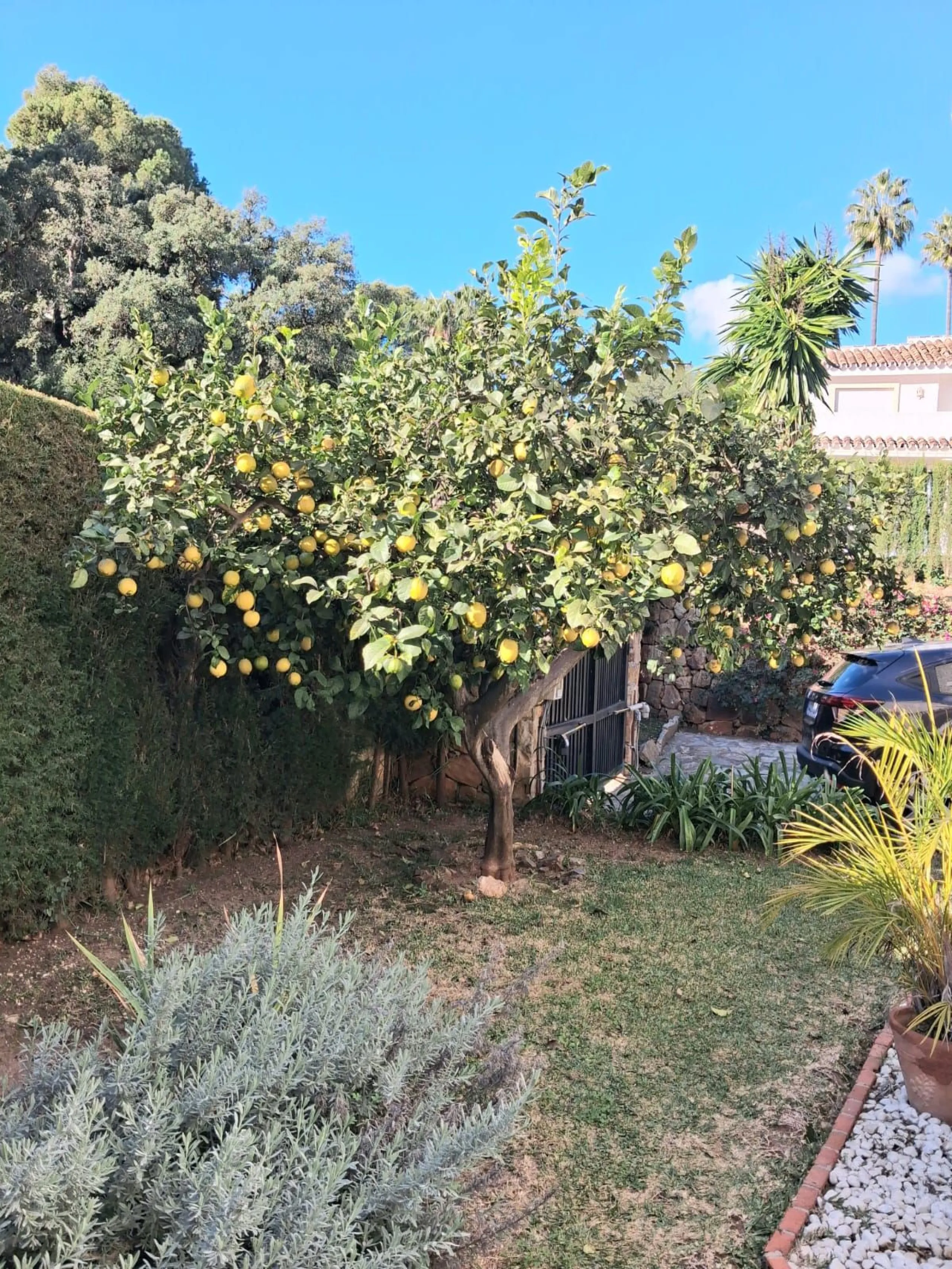 Nestled in the heart of Calahonda, Mijas, this captivating detached villa offers a harmonious blend of comfort and elegance. Boasting four Double bedrooms and two well-appointed bathrooms. This home is designed for those who appreciate luxury and style.