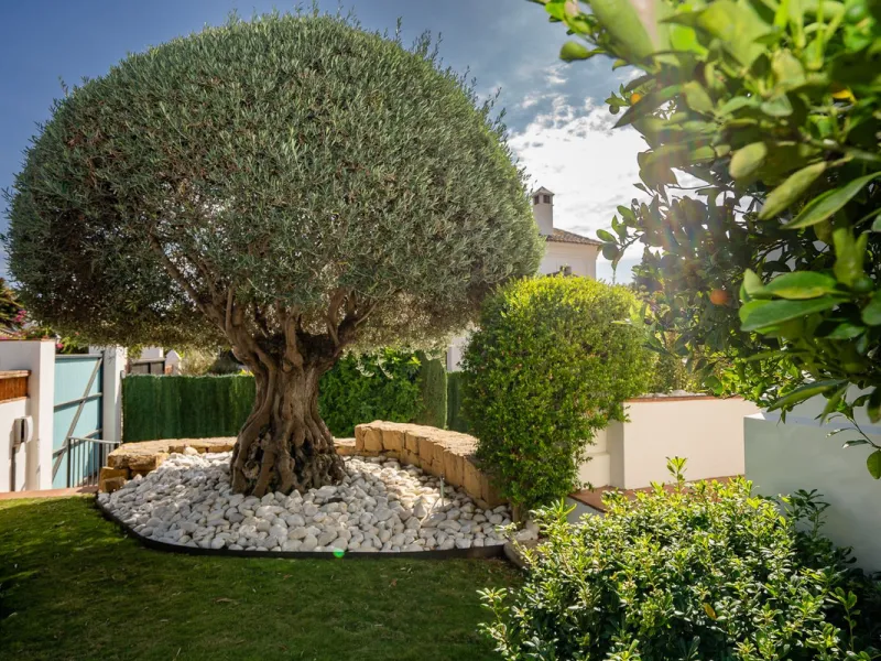 Elegant Andalusian-Style Villa in Prestigious Guadalmina Baja