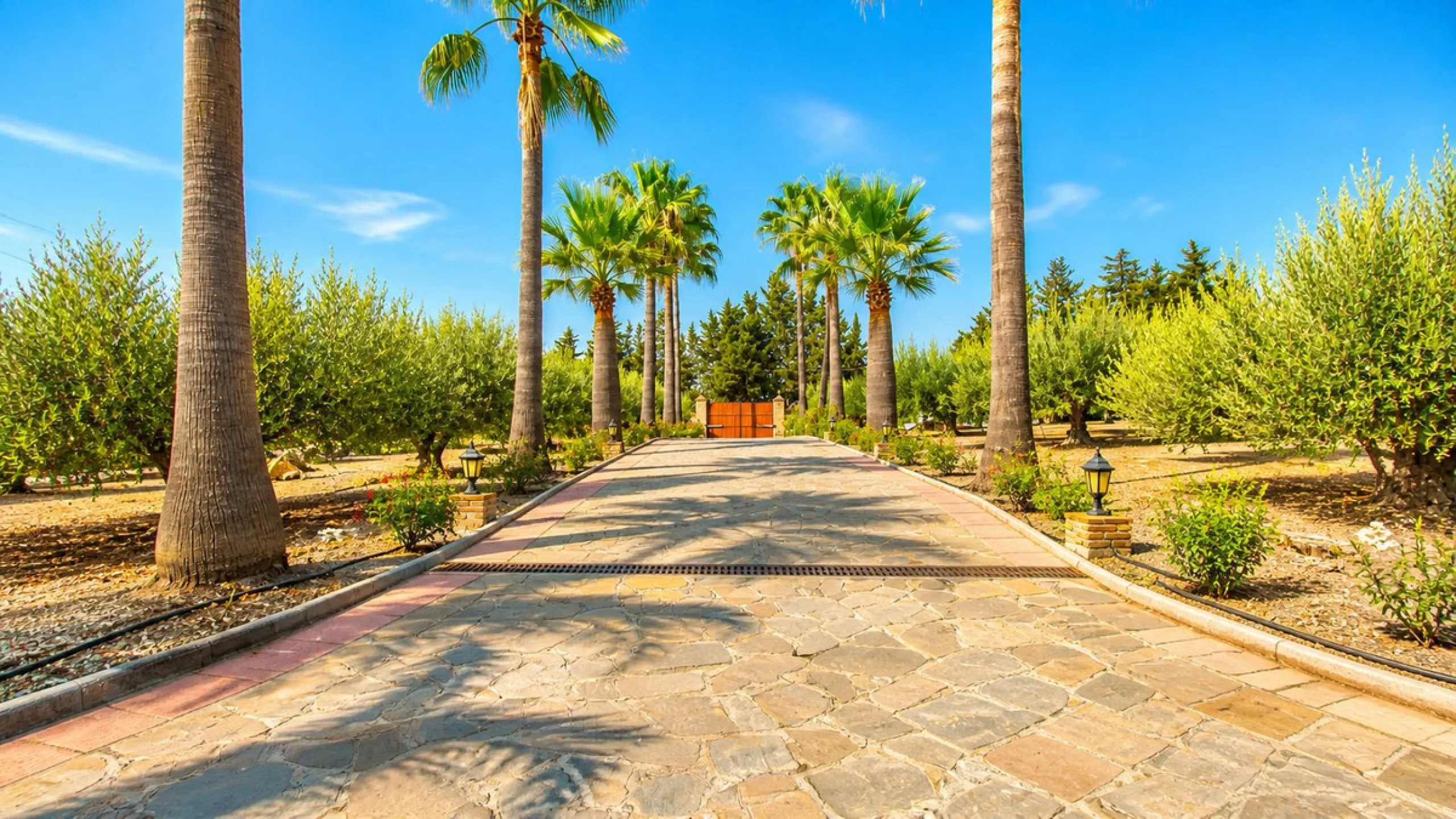 Charming Country Estate in El Padrón, Estepona — Just 5 Minutes from the Beach and Laguna Village