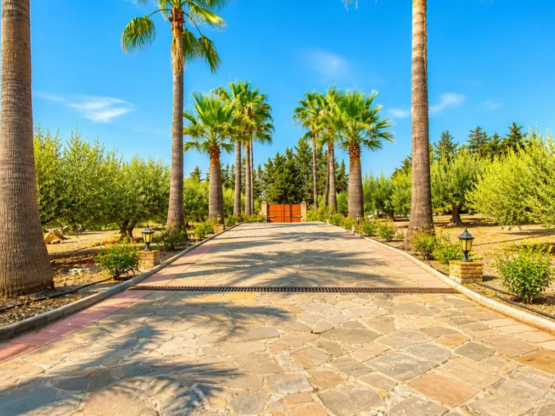 Charming Country Estate in El Padrón, Estepona — Just 5 Minutes from the Beach and Laguna Village