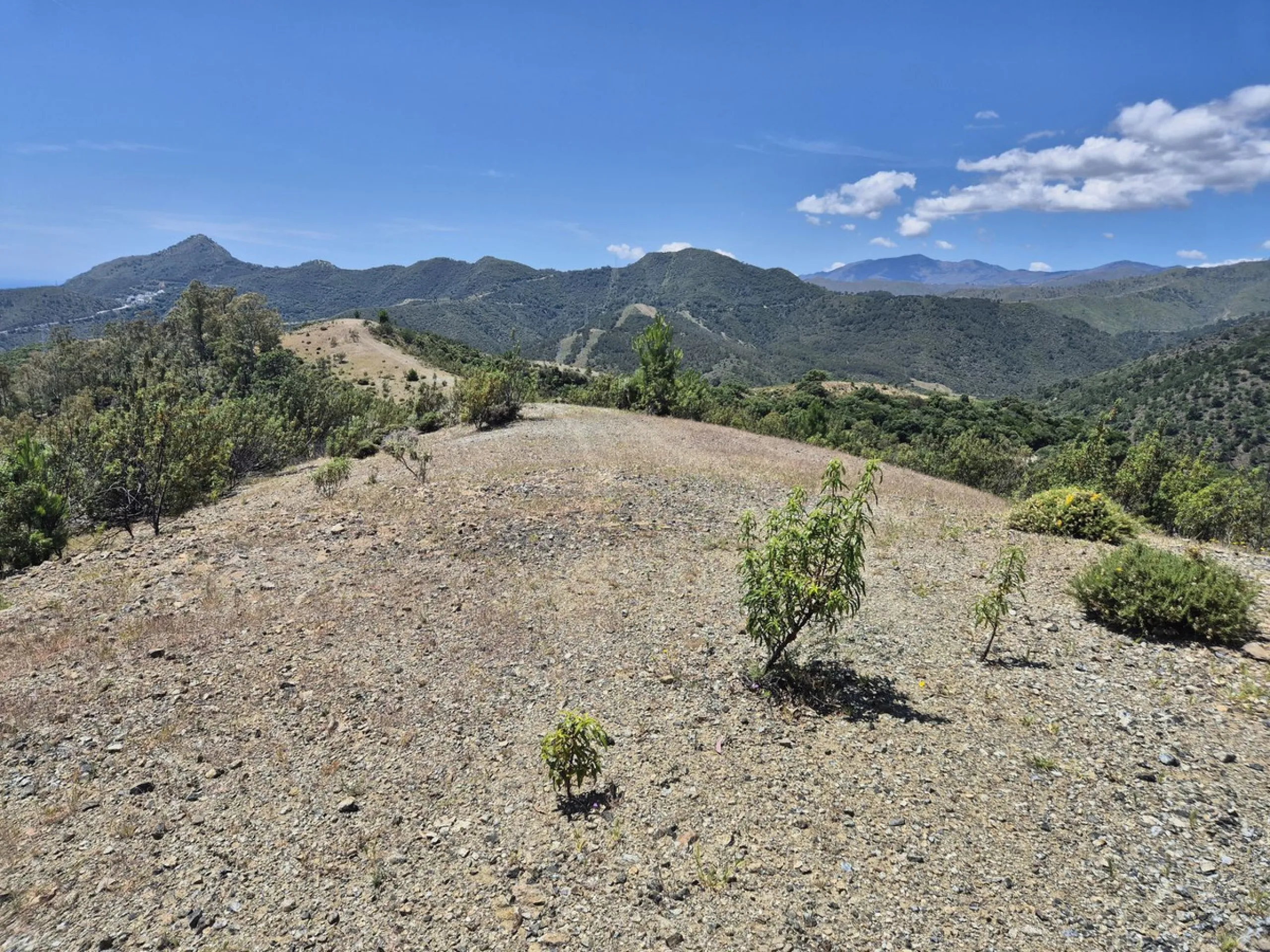 Residential Plot, La Zagaleta, Costa del Sol.