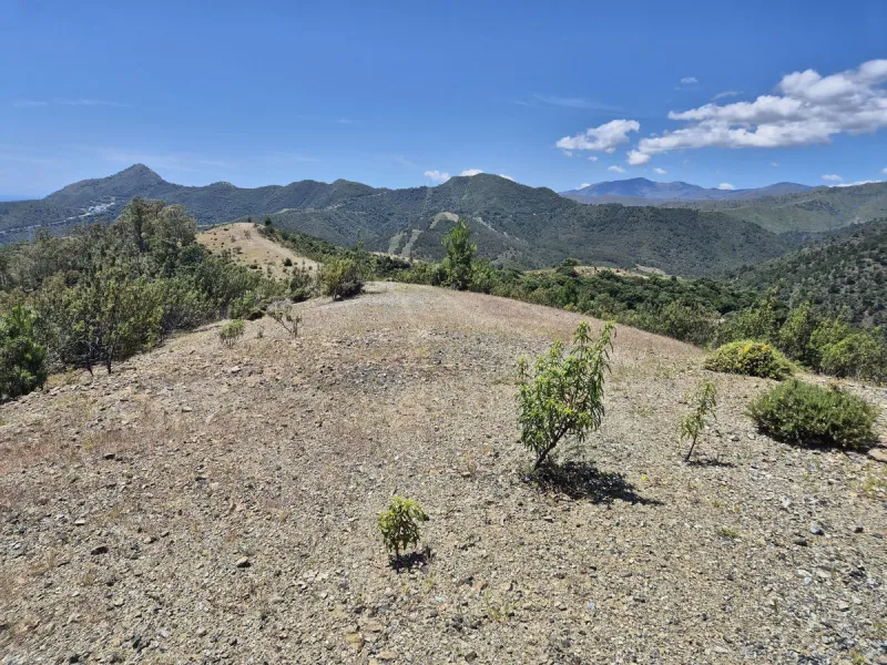 Residential Plot, La Zagaleta, Costa del Sol.
