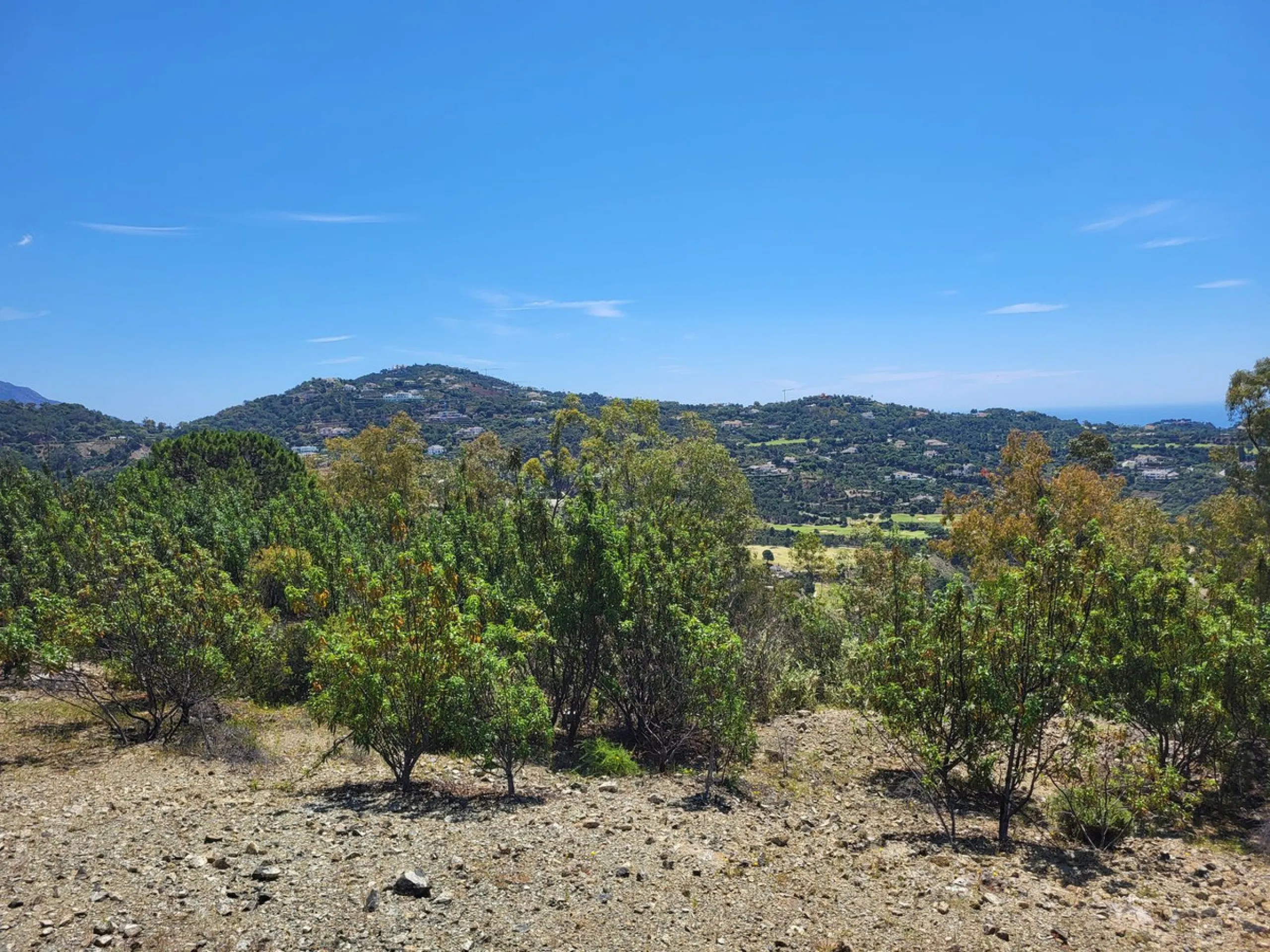 Residential Plot, La Zagaleta, Costa del Sol.