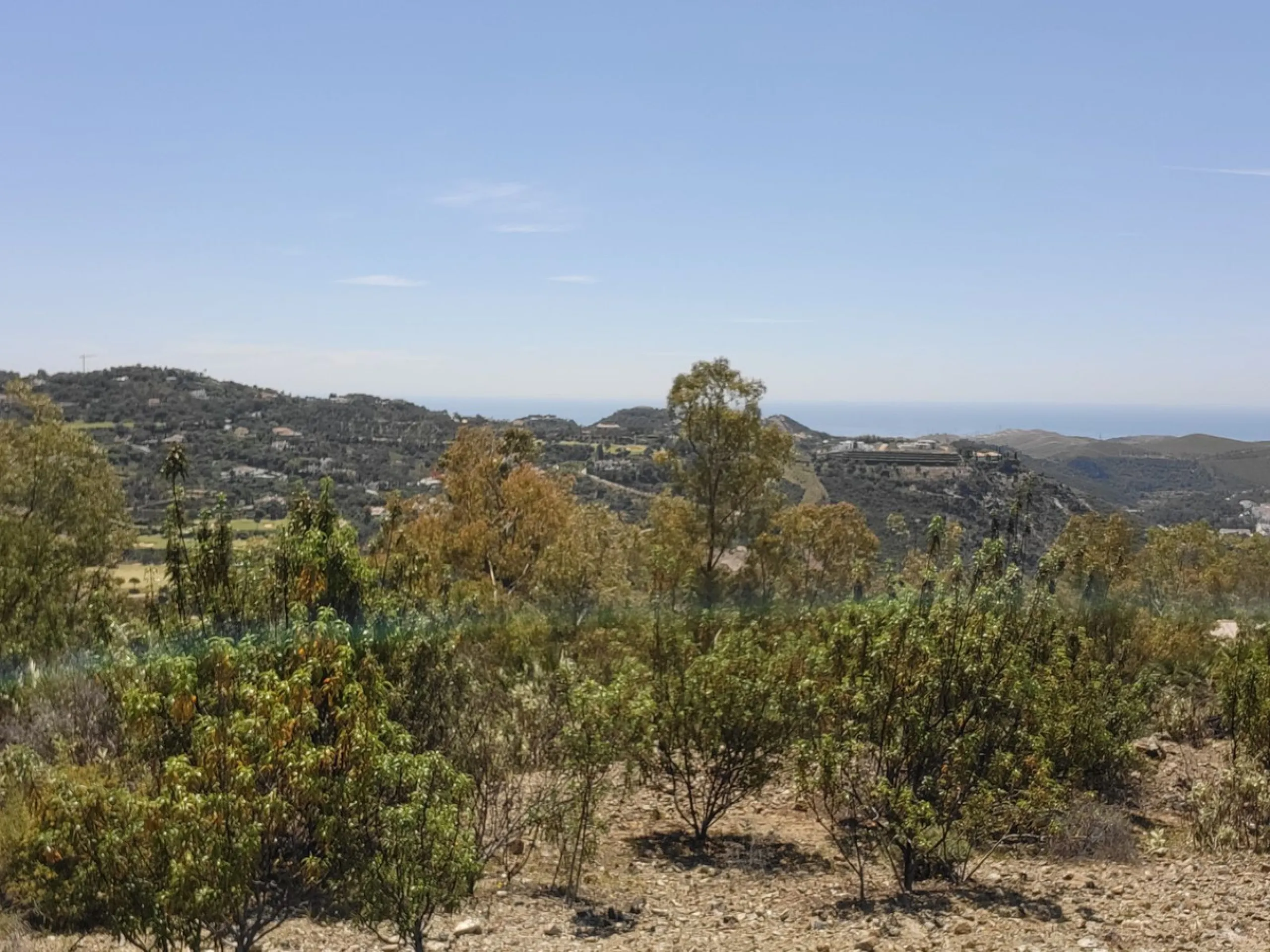 Residential Plot, La Zagaleta, Costa del Sol.
