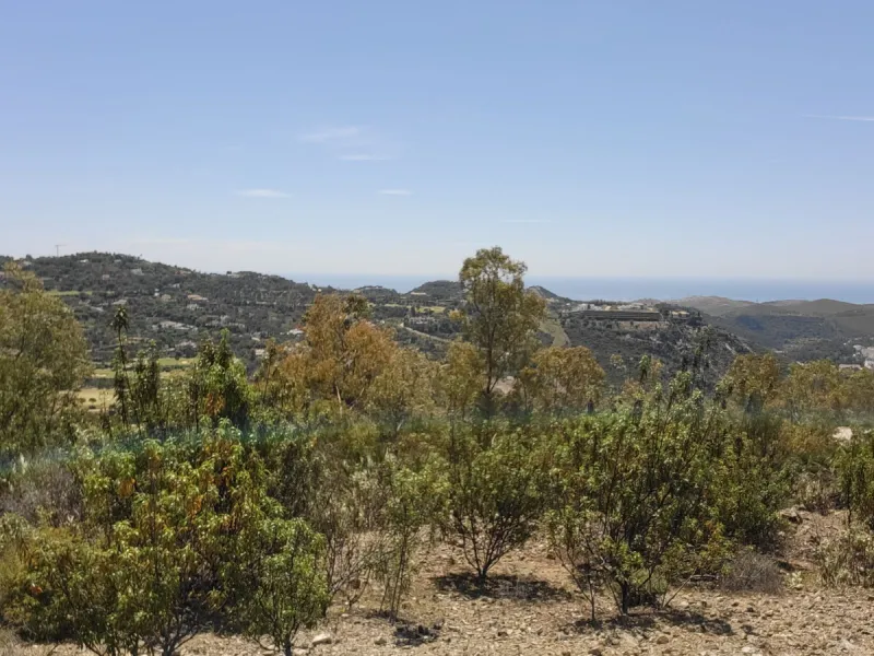 Residential Plot, La Zagaleta, Costa del Sol.
