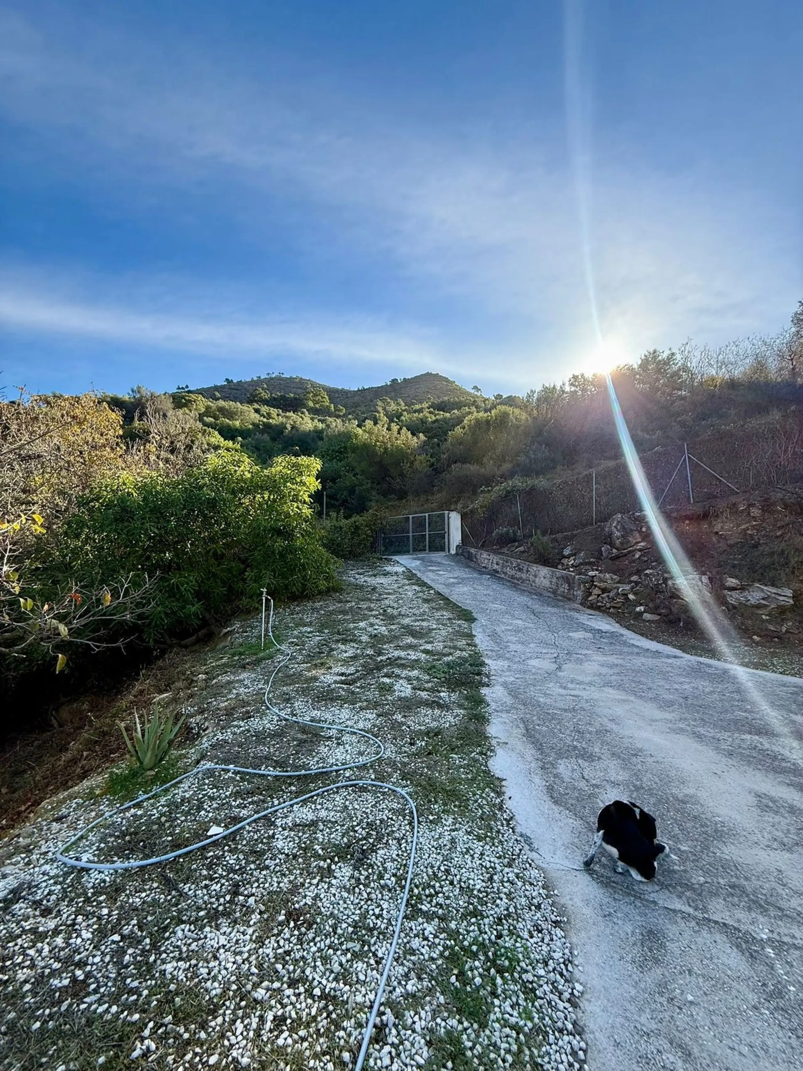 Leave the stress of the coast behind and discover your own paradise just 15 minutes from Marbella. This exceptional estate, nestled in the heart of the Sierra Blanca mountains, offers 60,000 m² of productive land, a true oasis of peace.