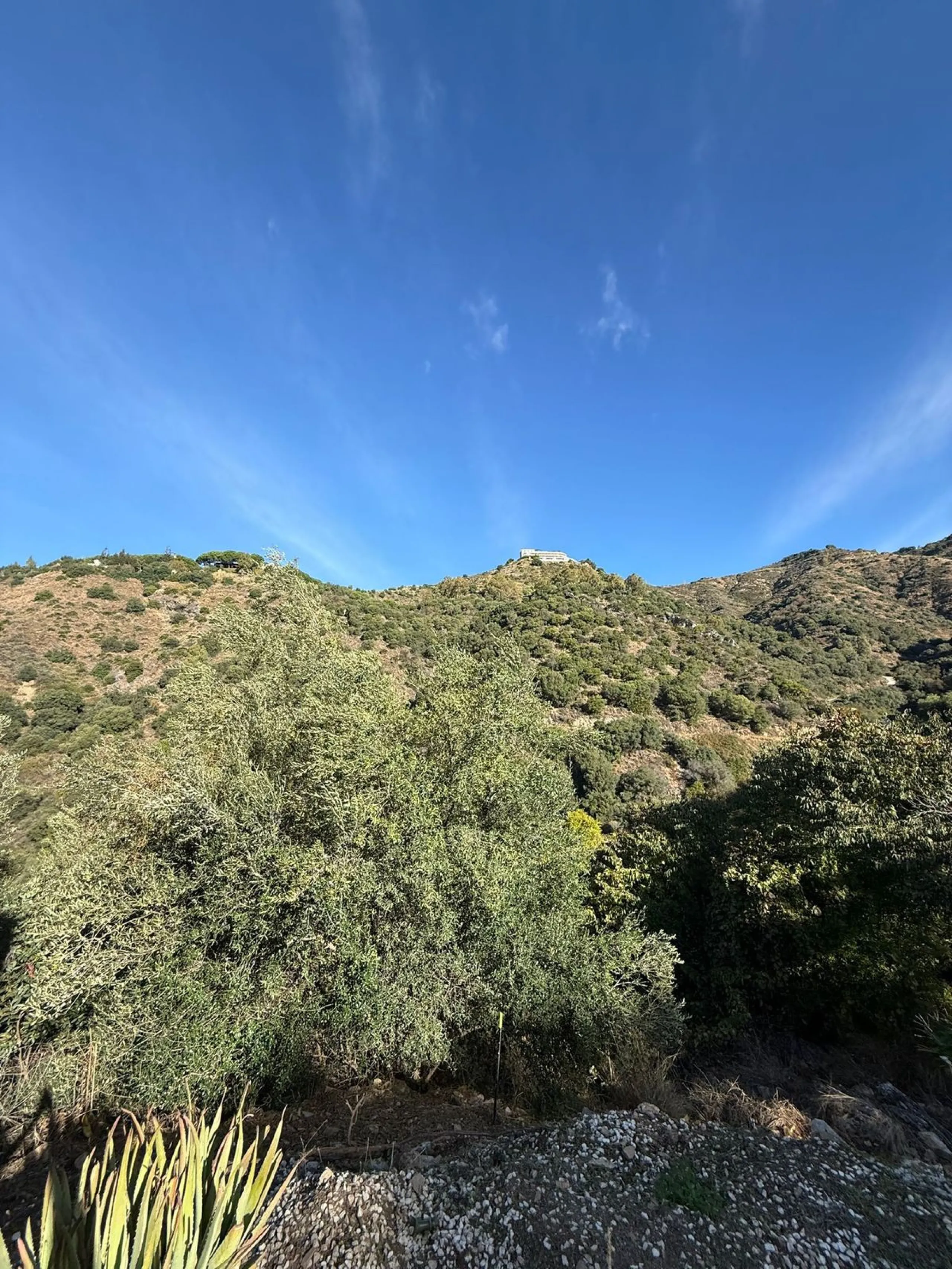 Leave the stress of the coast behind and discover your own paradise just 15 minutes from Marbella. This exceptional estate, nestled in the heart of the Sierra Blanca mountains, offers 60,000 m² of productive land, a true oasis of peace.
