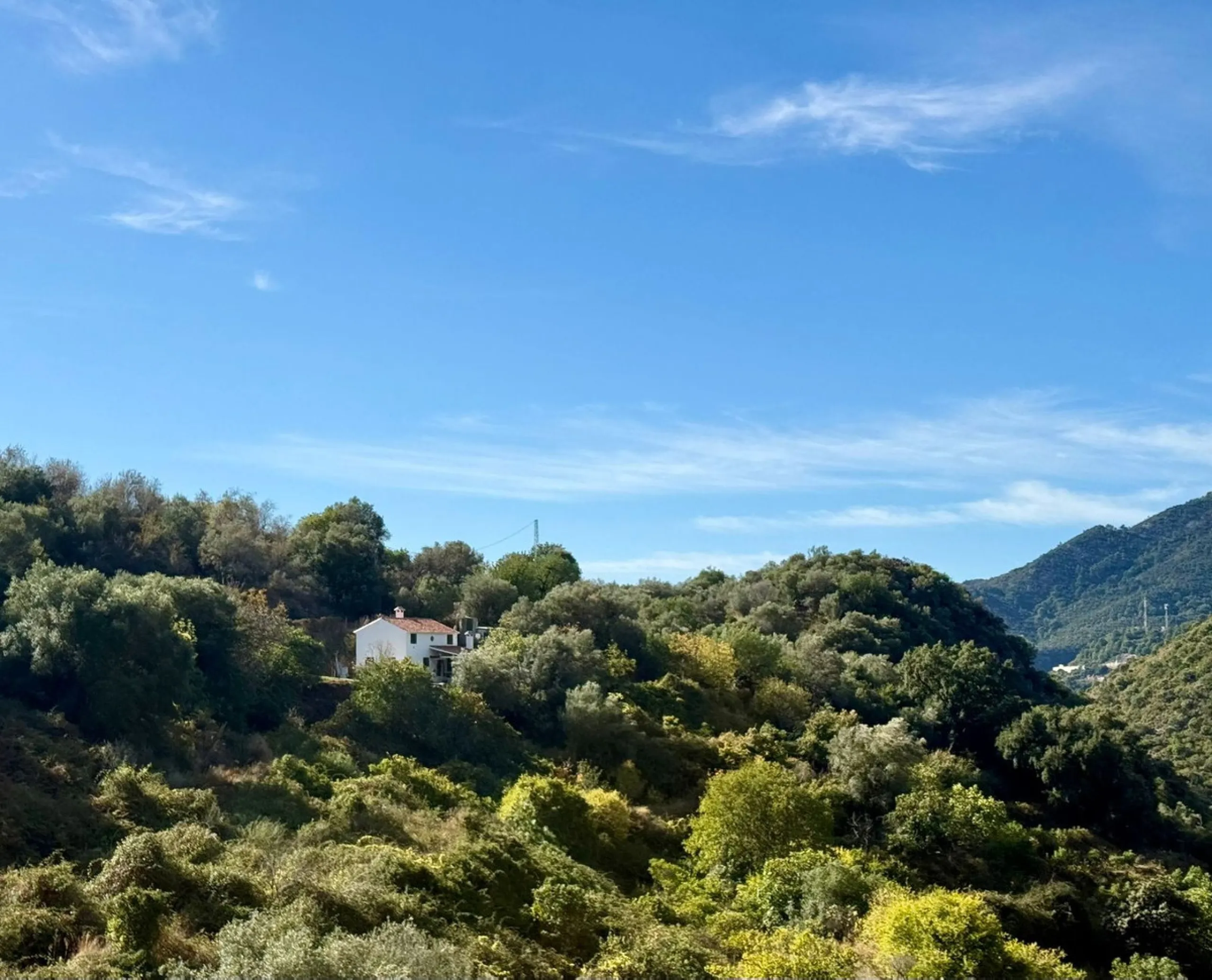 Leave the stress of the coast behind and discover your own paradise just 15 minutes from Marbella. This exceptional estate, nestled in the heart of the Sierra Blanca mountains, offers 60,000 m² of productive land, a true oasis of peace.