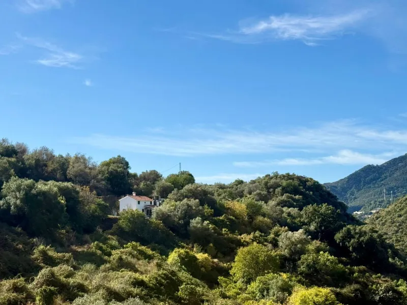 Leave the stress of the coast behind and discover your own paradise just 15 minutes from Marbella. This exceptional estate, nestled in the heart of the Sierra Blanca mountains, offers 60,000 m² of productive land, a true oasis of peace.