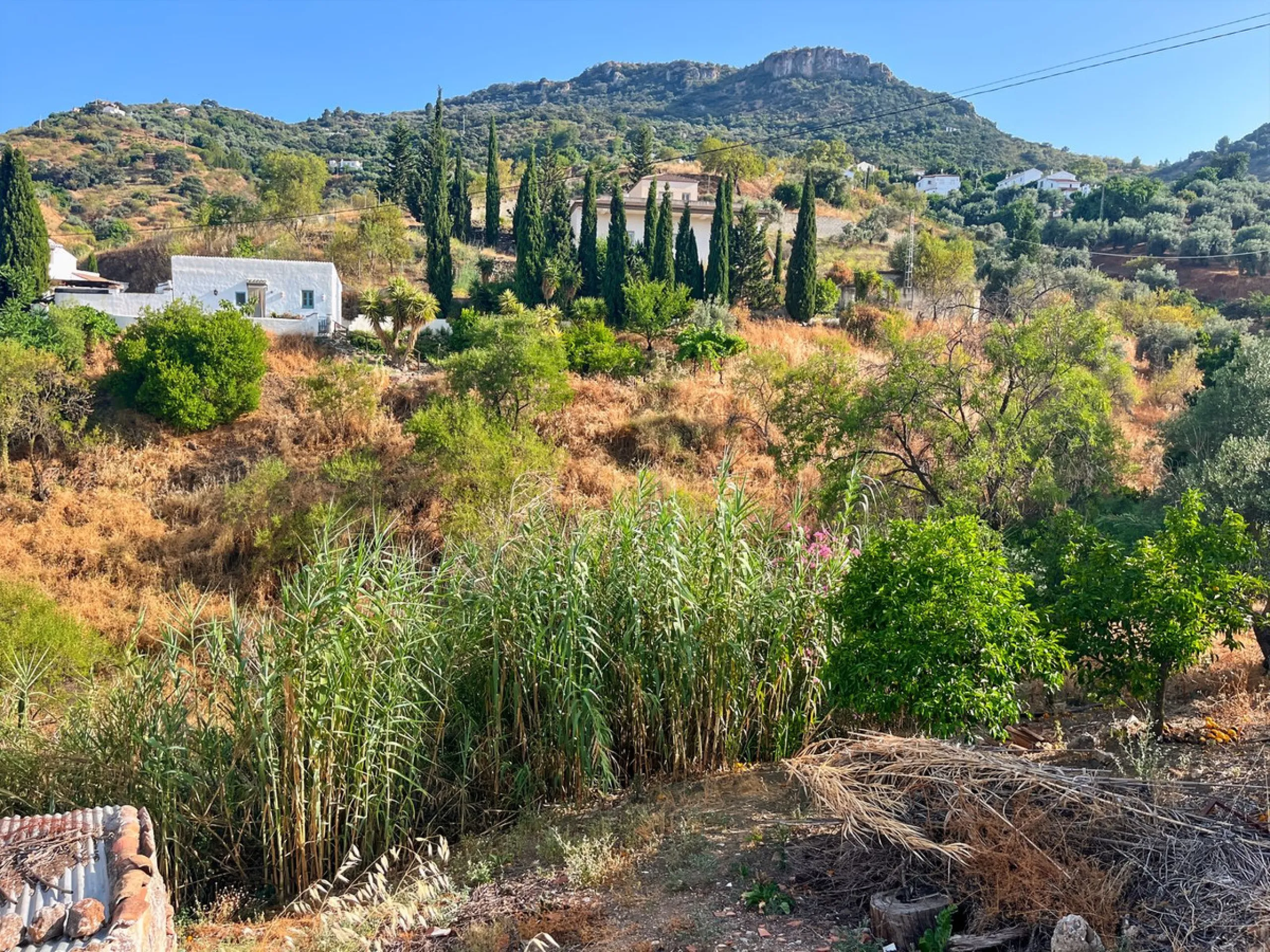 UNIQUE OPPORTUNITY: Authentic Mill House in Los Dioses - A Gem Full of Potential