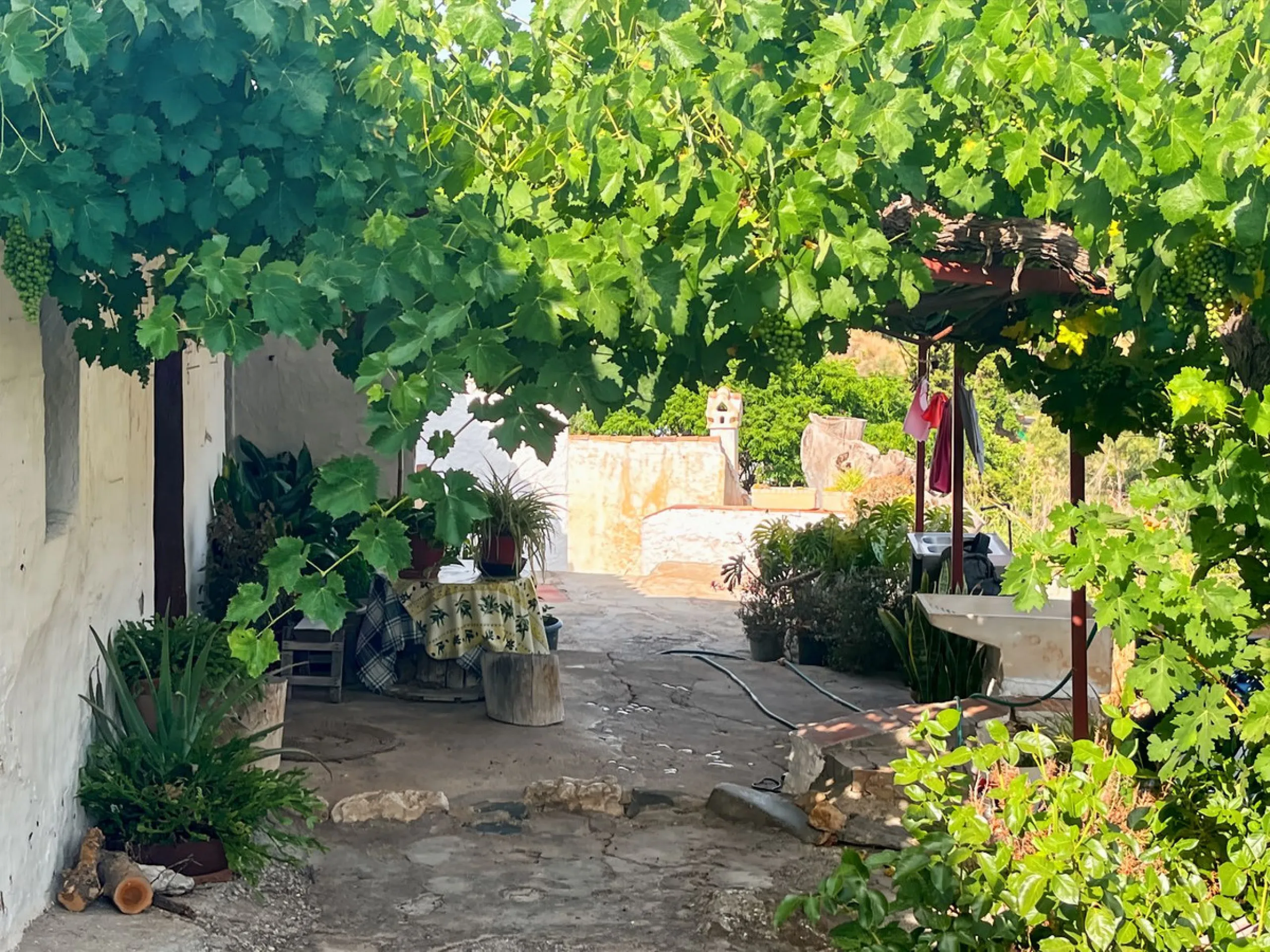 UNIQUE OPPORTUNITY: Authentic Mill House in Los Dioses - A Gem Full of Potential