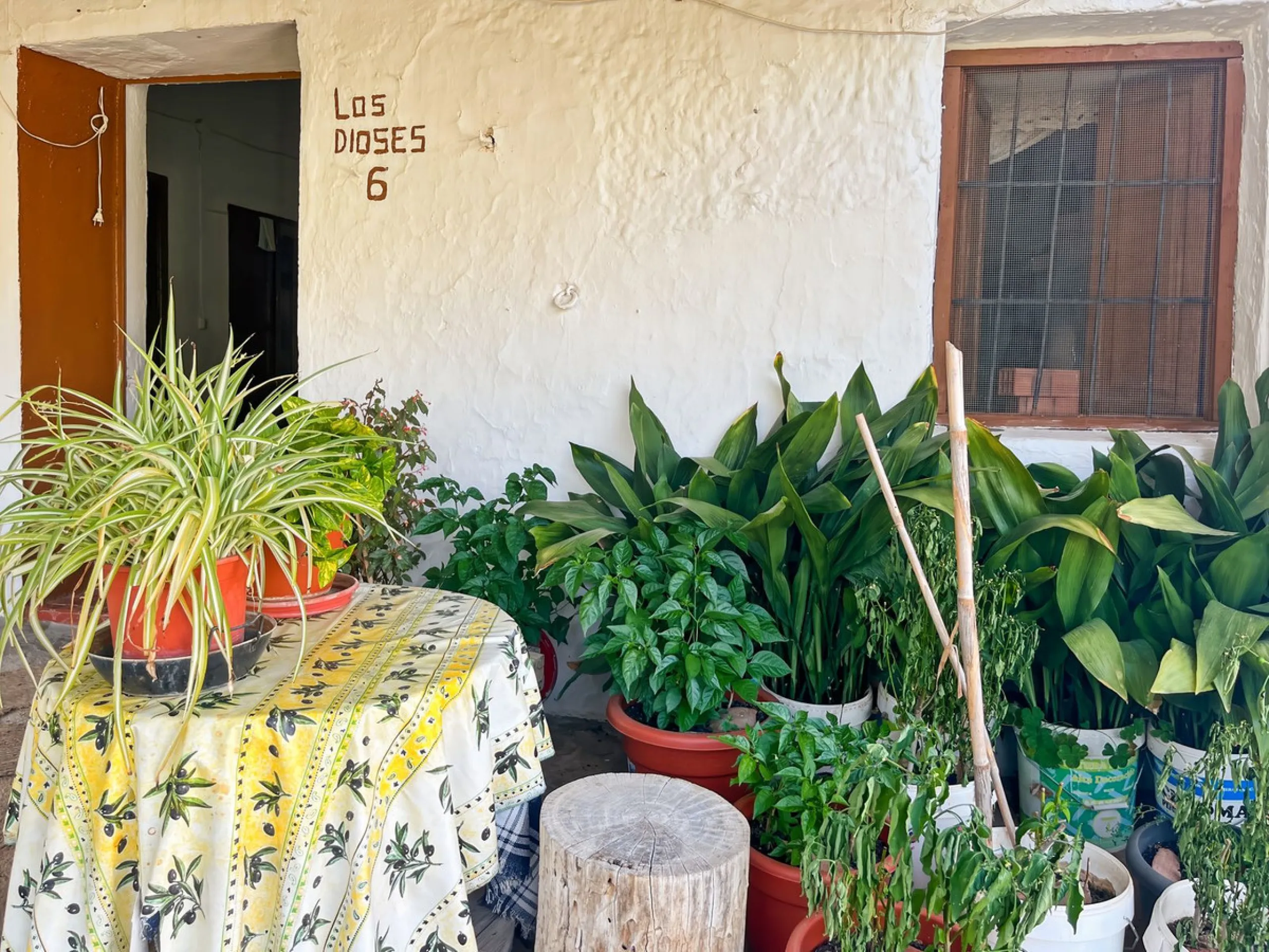 UNIQUE OPPORTUNITY: Authentic Mill House in Los Dioses - A Gem Full of Potential