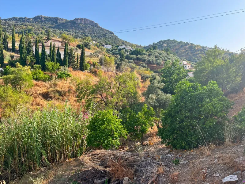 UNIQUE OPPORTUNITY: Authentic Mill House in Los Dioses - A Gem Full of Potential