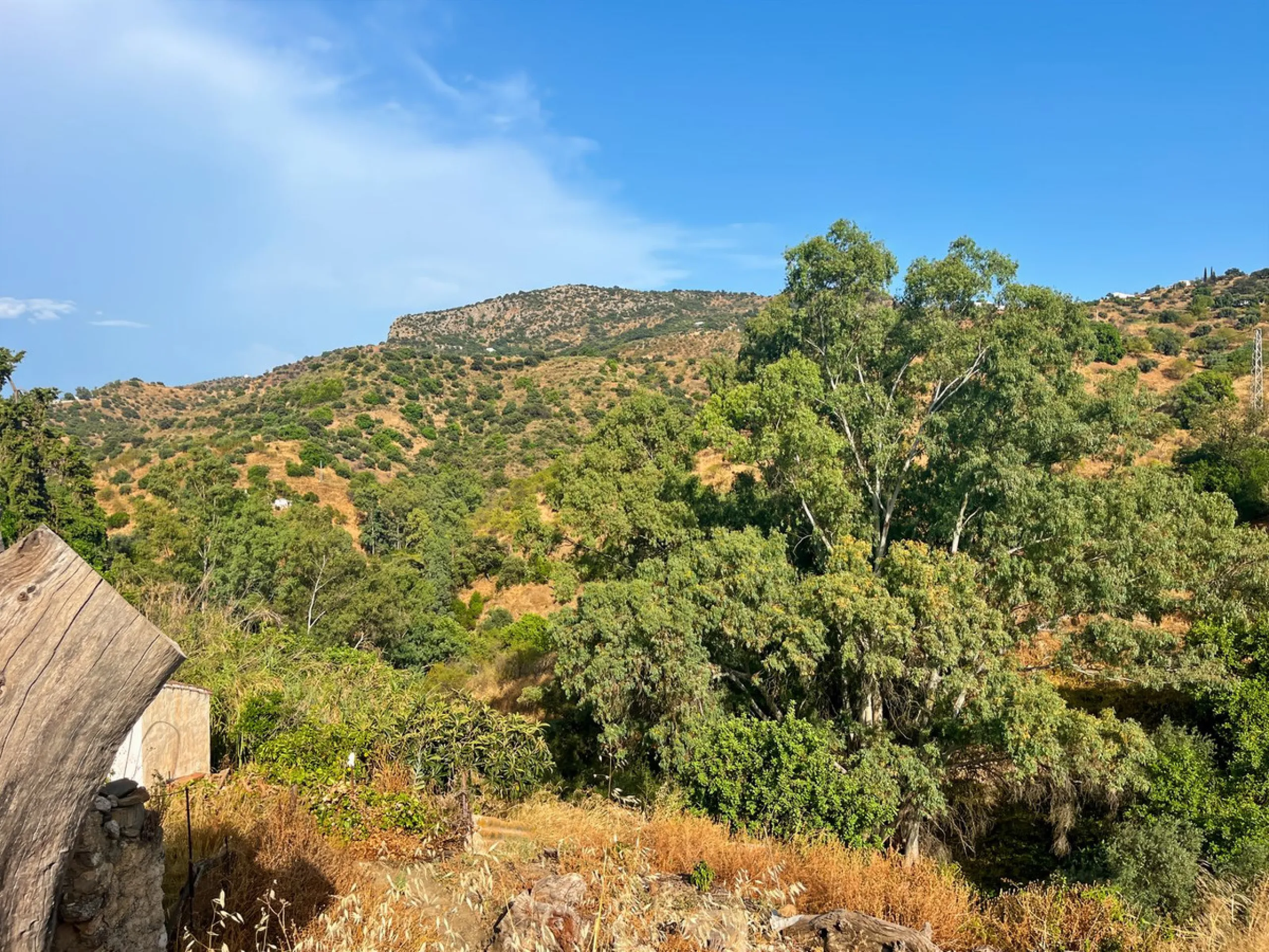 UNIQUE OPPORTUNITY: Authentic Mill House in Los Dioses - A Gem Full of Potential