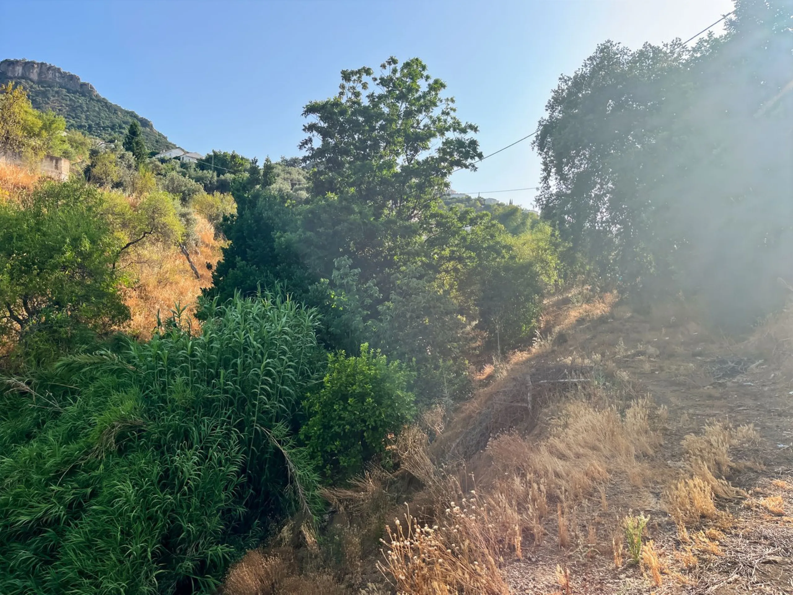 UNIQUE OPPORTUNITY: Authentic Mill House in Los Dioses - A Gem Full of Potential
