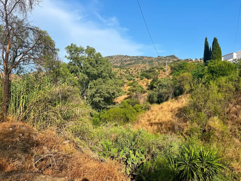 UNIQUE OPPORTUNITY: Authentic Mill House in Los Dioses - A Gem Full of Potential