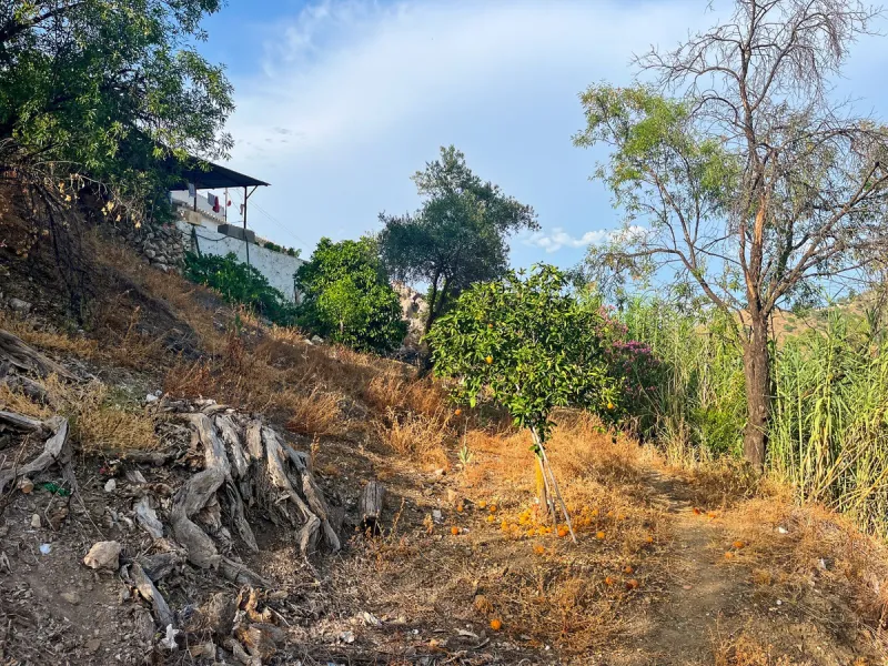 UNIQUE OPPORTUNITY: Authentic Mill House in Los Dioses - A Gem Full of Potential