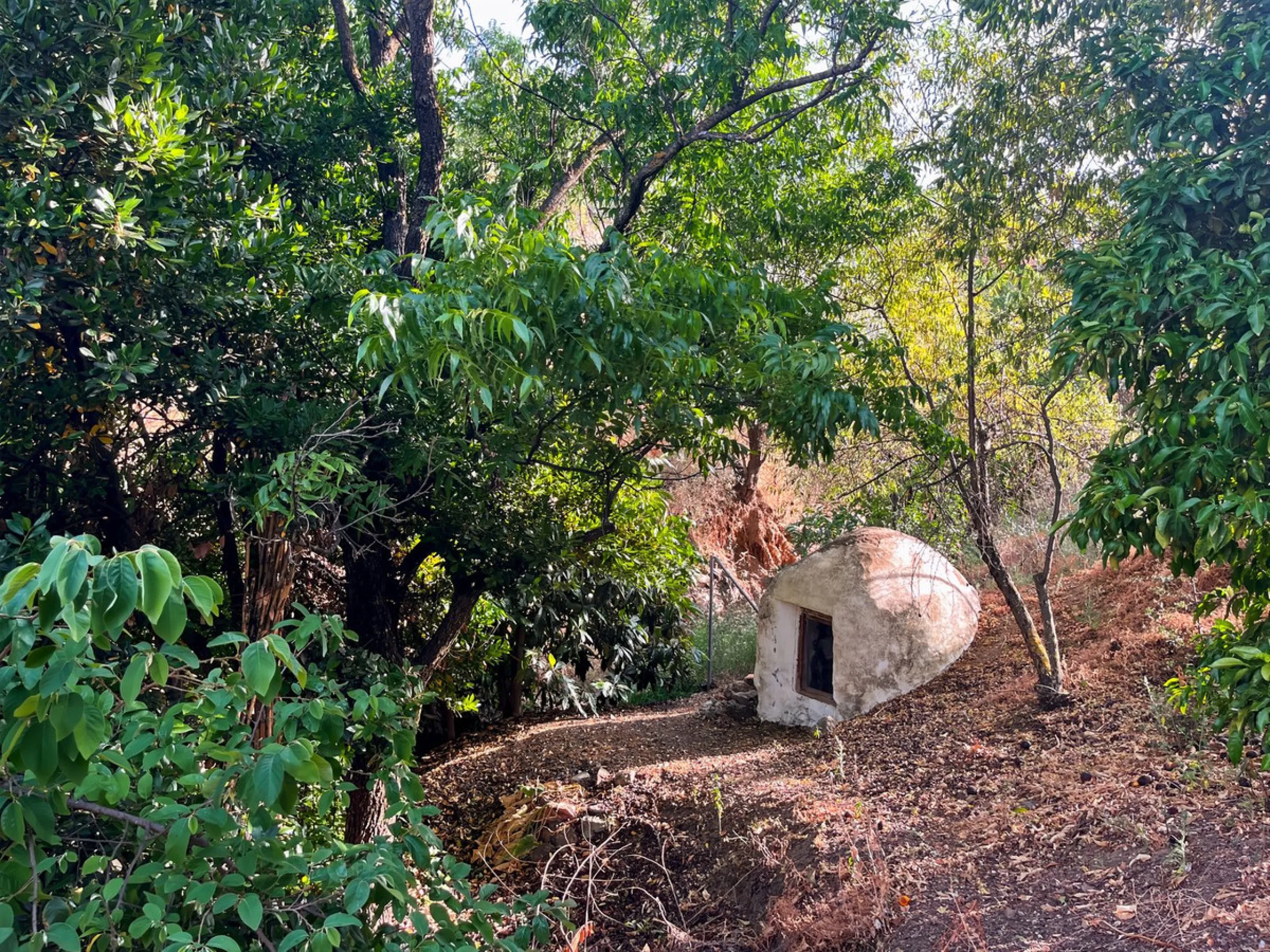 UNIQUE OPPORTUNITY: Authentic Mill House in Los Dioses - A Gem Full of Potential