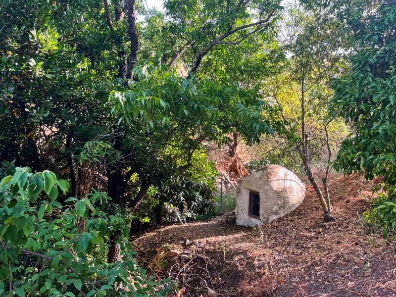 UNIQUE OPPORTUNITY: Authentic Mill House in Los Dioses - A Gem Full of Potential