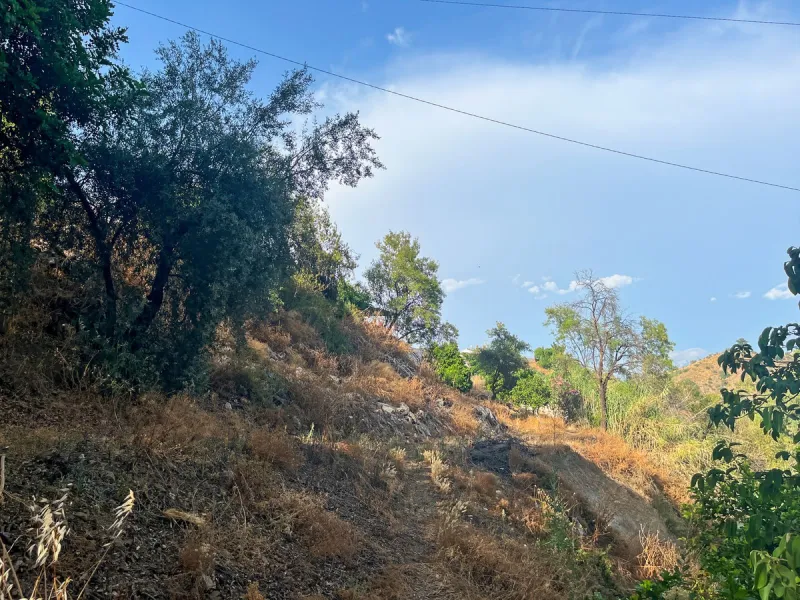 UNIQUE OPPORTUNITY: Authentic Mill House in Los Dioses - A Gem Full of Potential