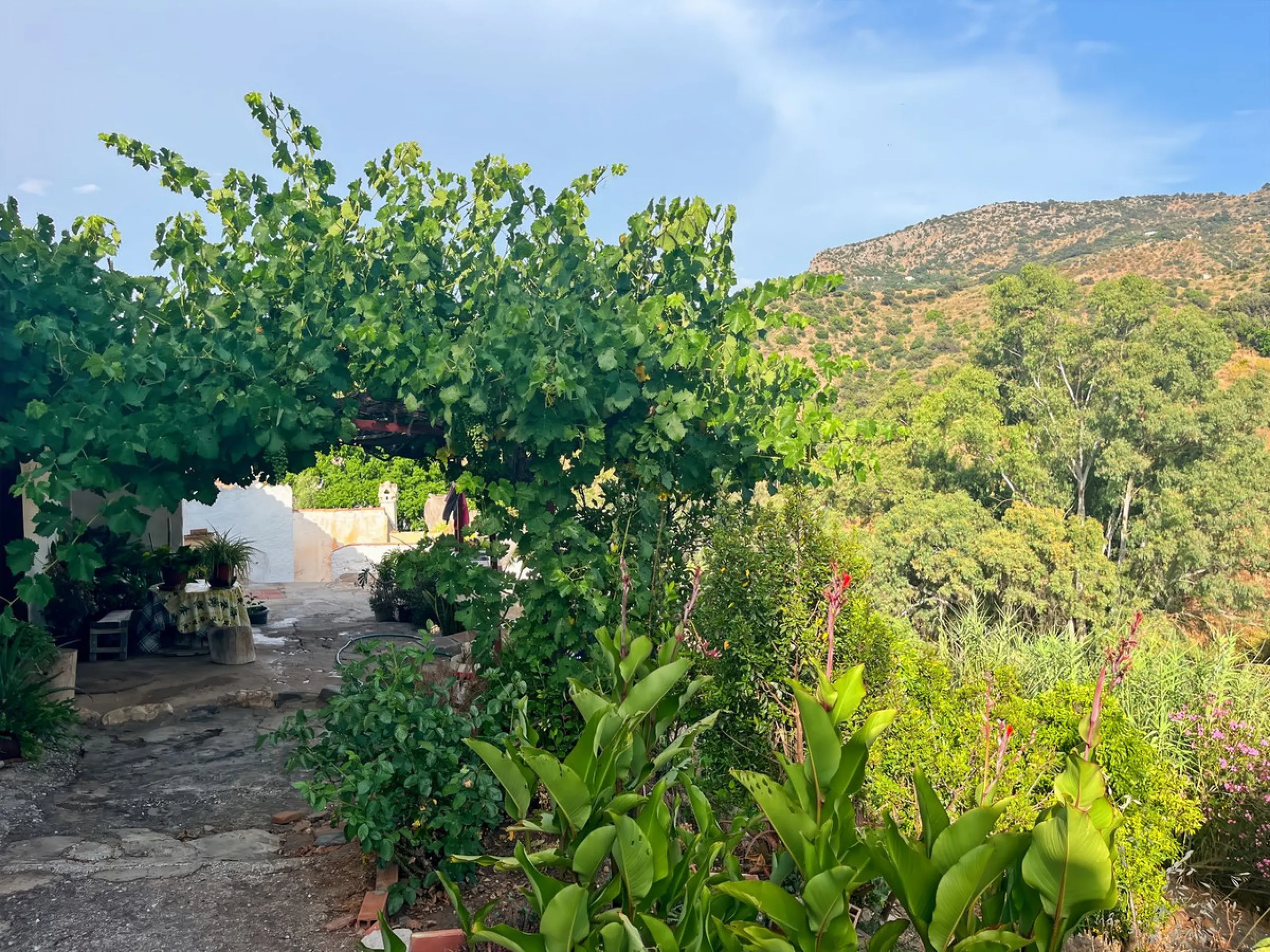 UNIQUE OPPORTUNITY: Authentic Mill House in Los Dioses - A Gem Full of Potential