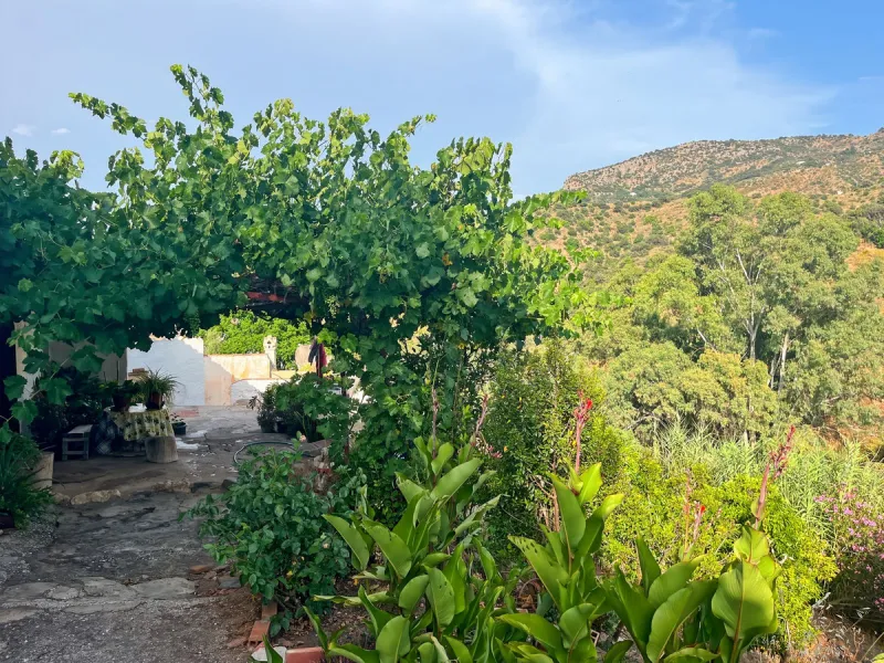 UNIQUE OPPORTUNITY: Authentic Mill House in Los Dioses - A Gem Full of Potential
