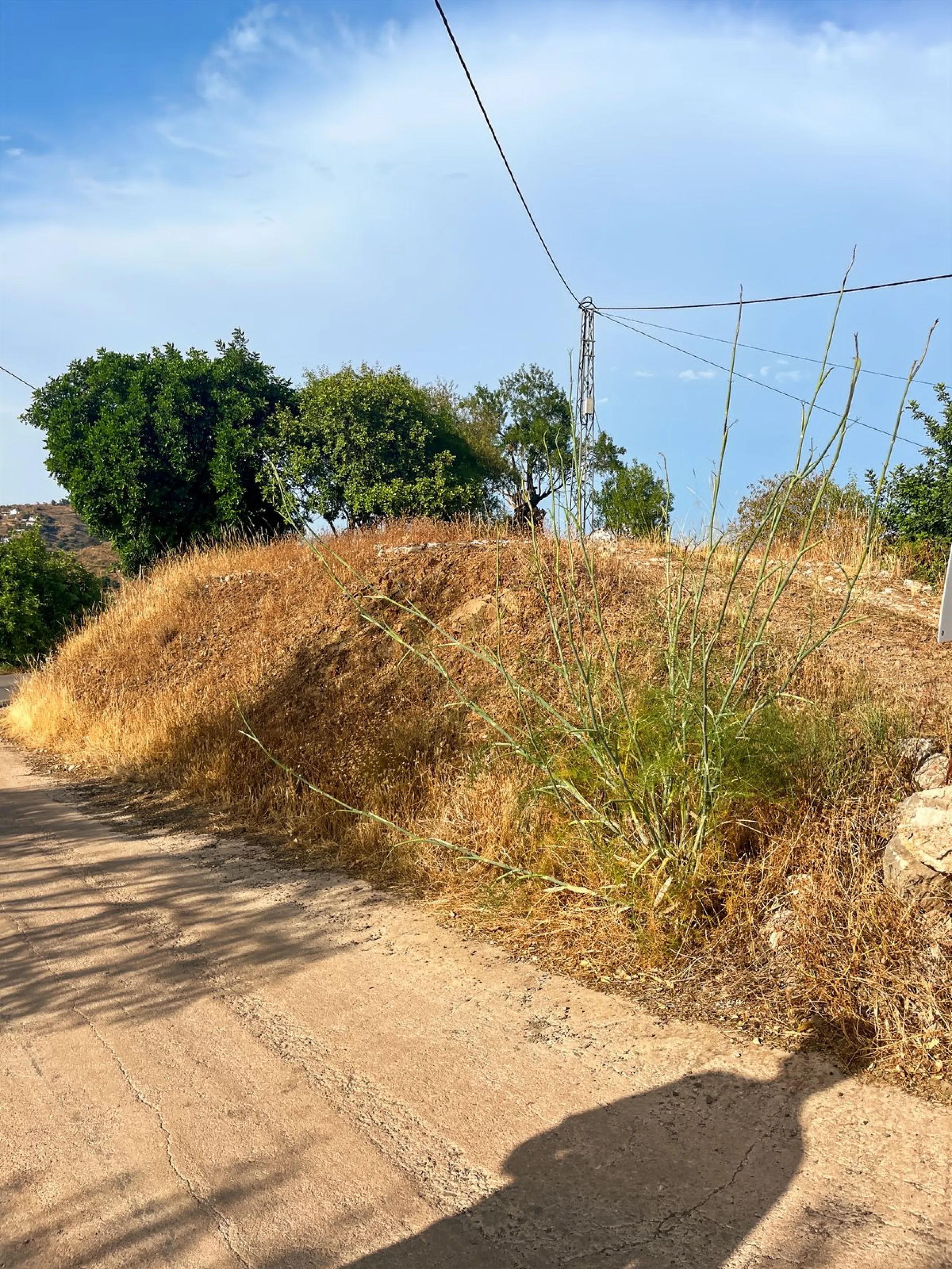 UNIQUE OPPORTUNITY: Authentic Mill House in Los Dioses - A Gem Full of Potential