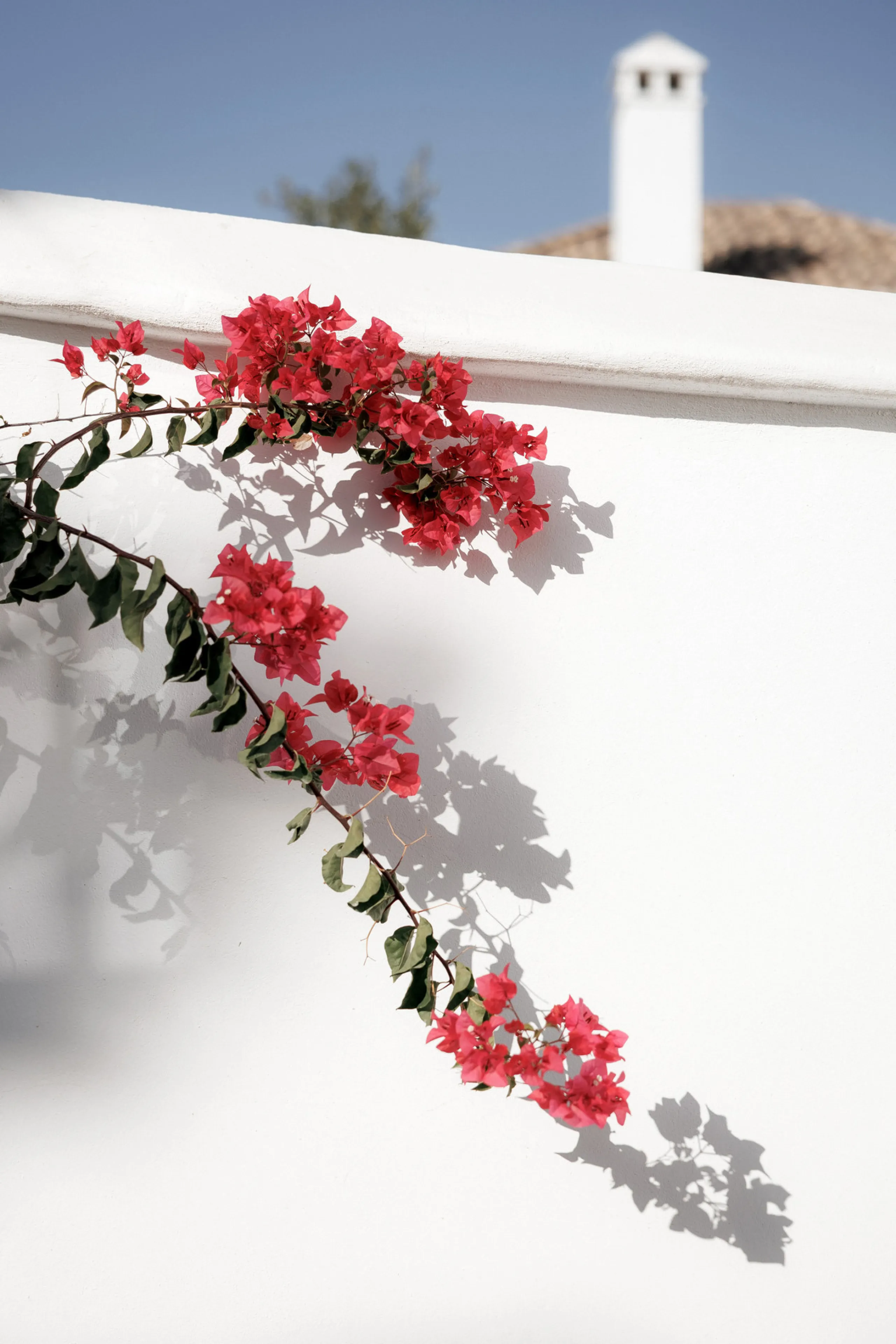 Discover this beautifully renovated townhouse in El Naranjal, one of the most charming and sought-after residential complexes in Nueva Andalucía.