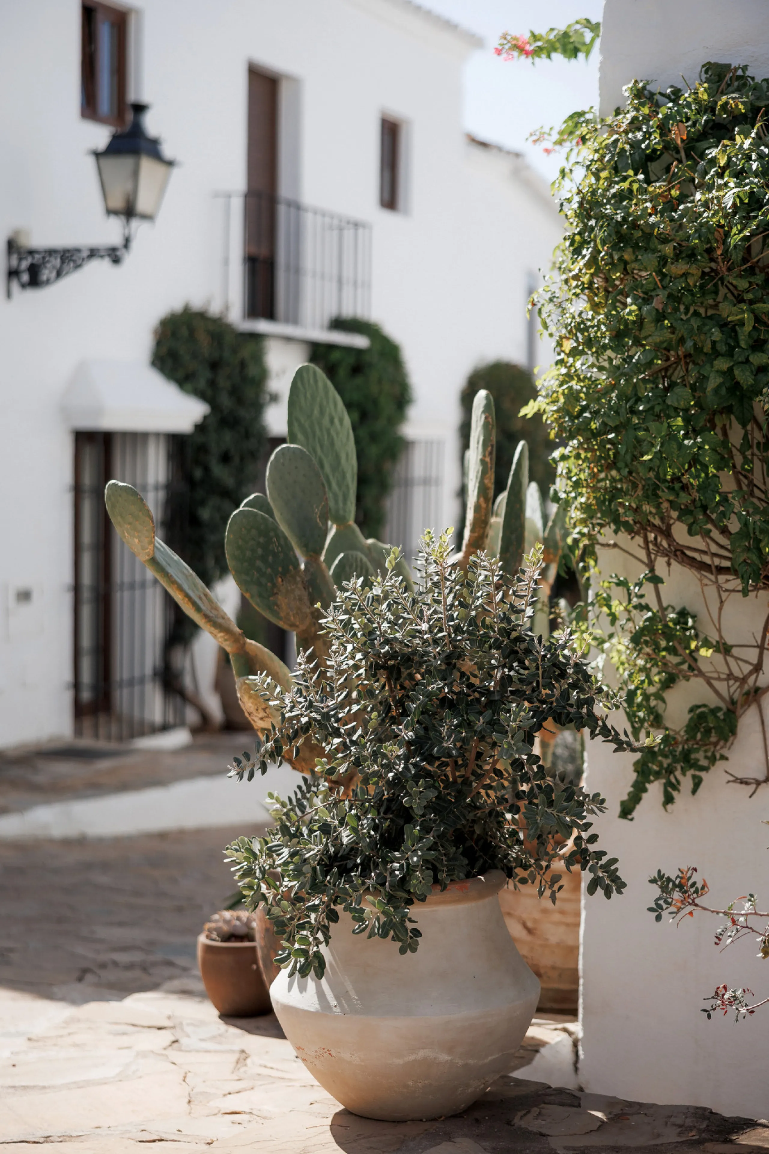 Discover this beautifully renovated townhouse in El Naranjal, one of the most charming and sought-after residential complexes in Nueva Andalucía.