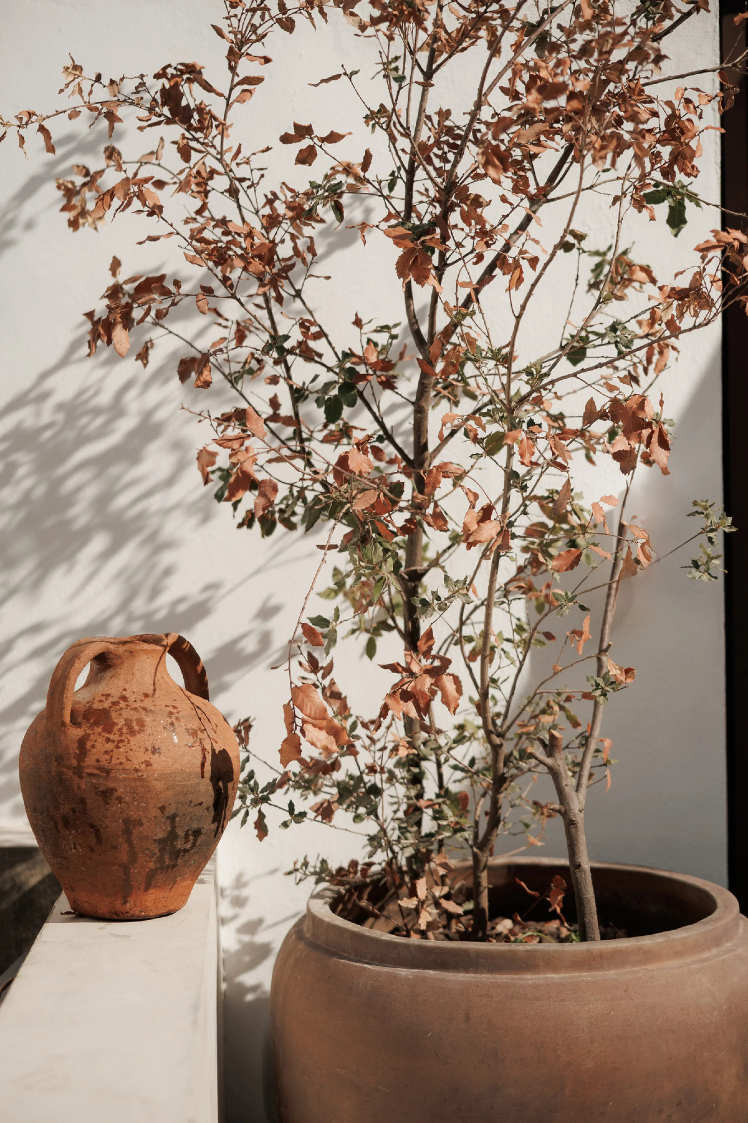 Discover this beautifully renovated townhouse in El Naranjal, one of the most charming and sought-after residential complexes in Nueva Andalucía.