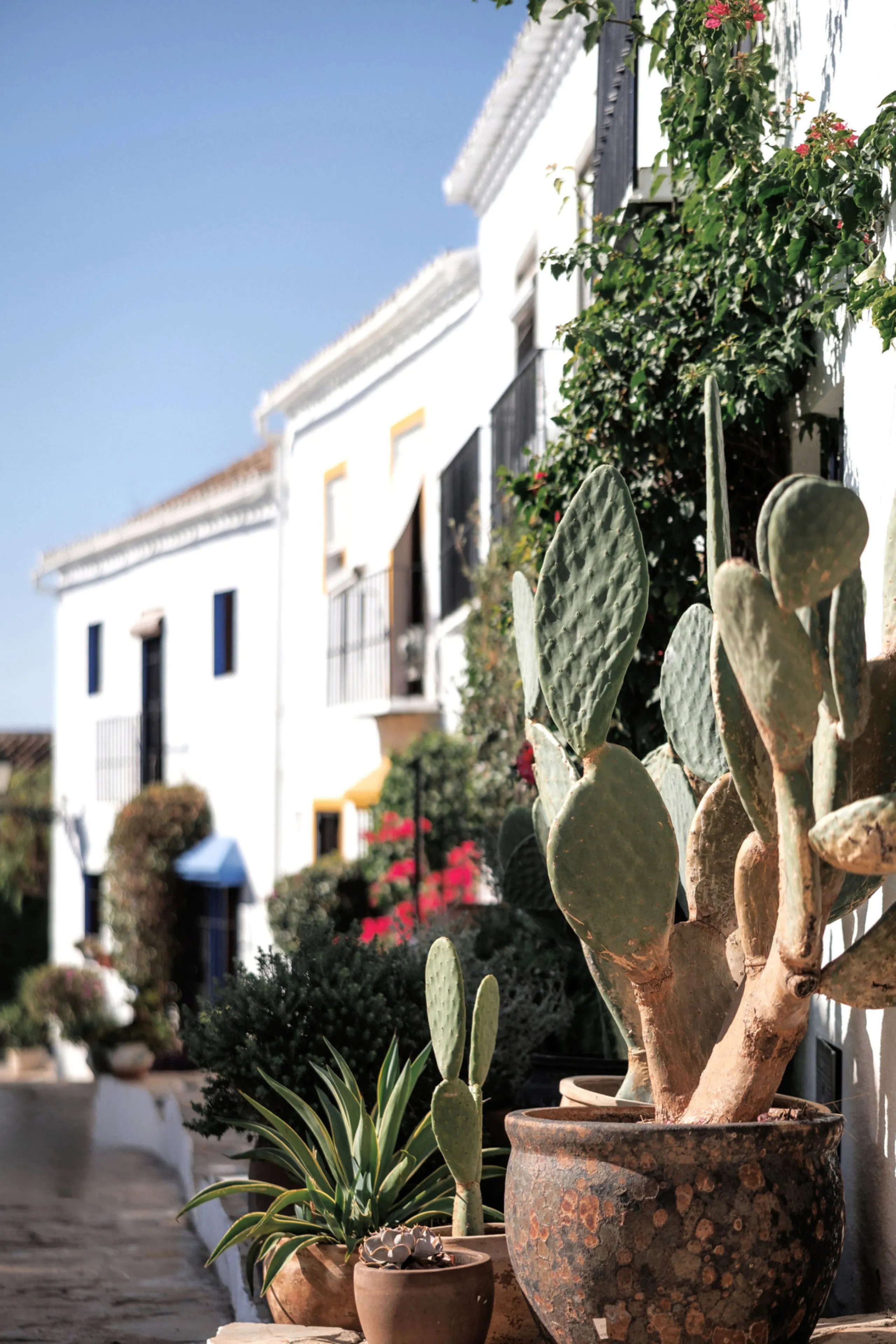 Discover this beautifully renovated townhouse in El Naranjal, one of the most charming and sought-after residential complexes in Nueva Andalucía.