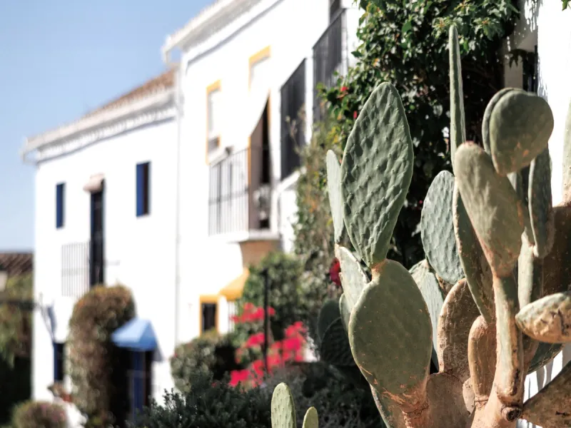 Discover this beautifully renovated townhouse in El Naranjal, one of the most charming and sought-after residential complexes in Nueva Andalucía.
