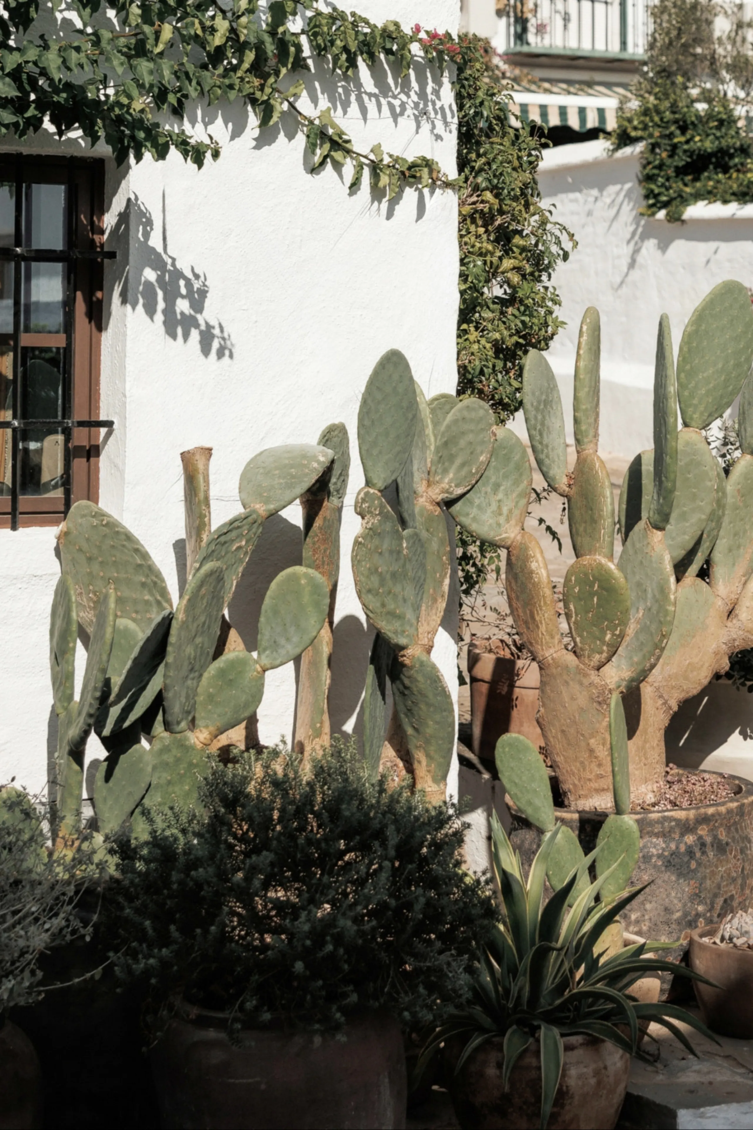 Discover this beautifully renovated townhouse in El Naranjal, one of the most charming and sought-after residential complexes in Nueva Andalucía.