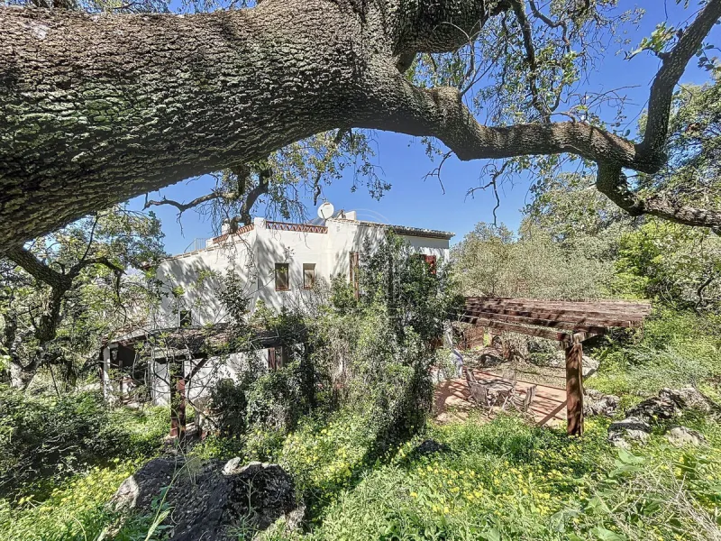 Discover Casa Feng Shui: A Unique Sanctuary in Comares