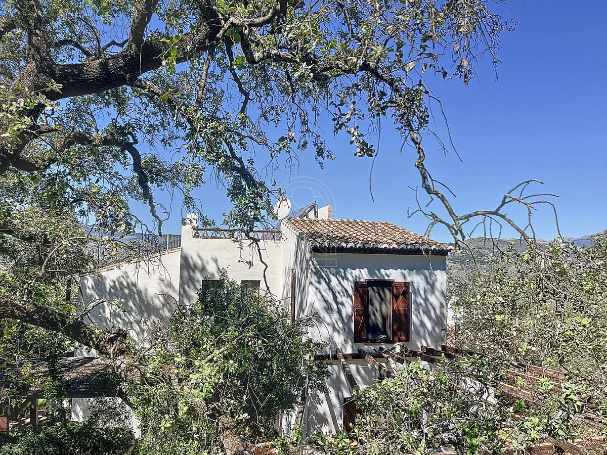 Discover Casa Feng Shui: A Unique Sanctuary in Comares
