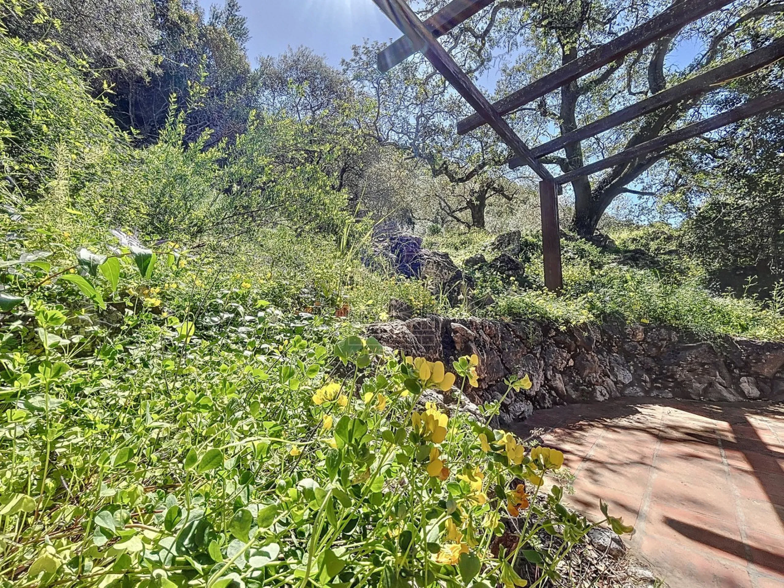Discover Casa Feng Shui: A Unique Sanctuary in Comares