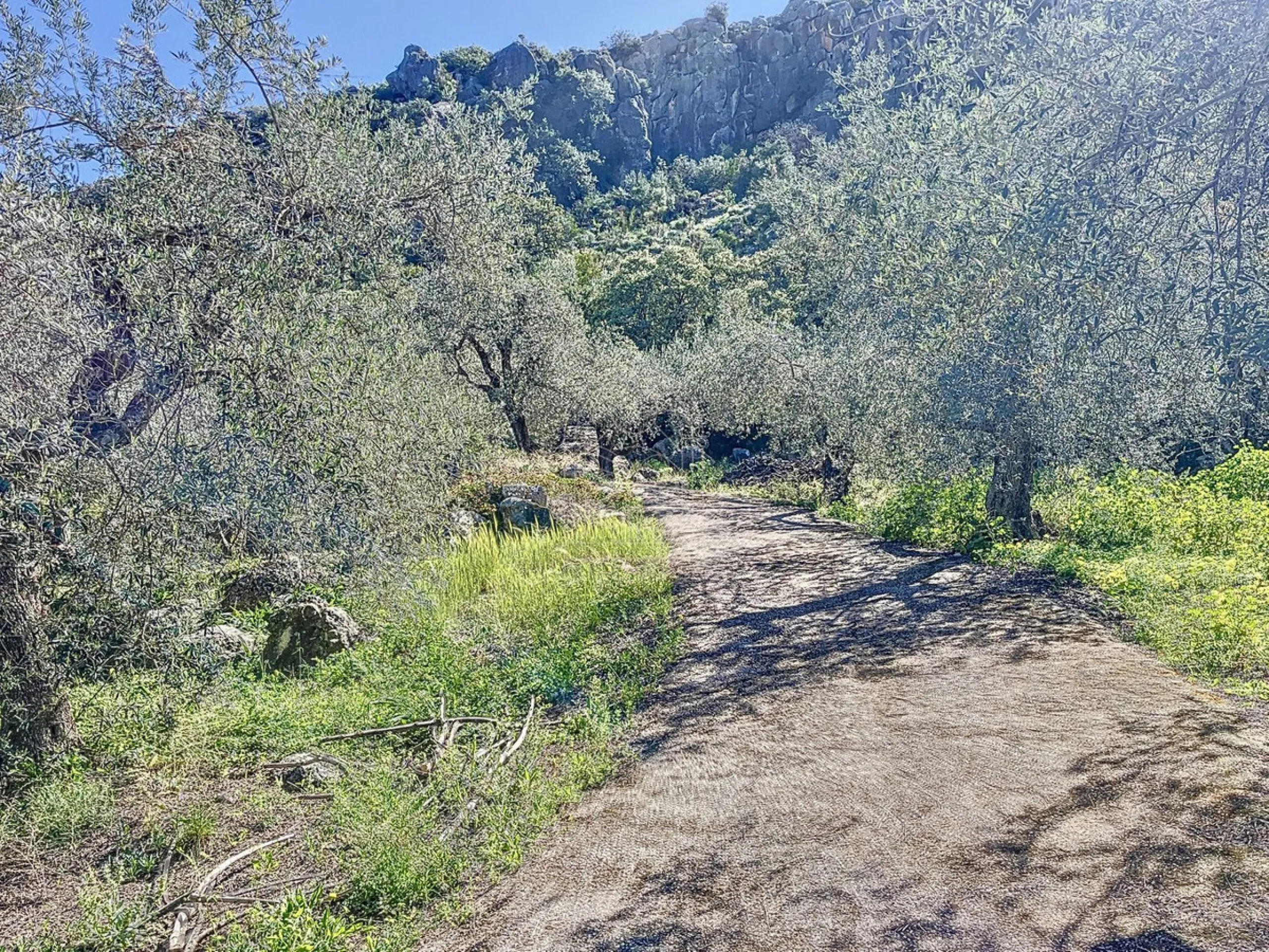 Discover Casa Feng Shui: A Unique Sanctuary in Comares